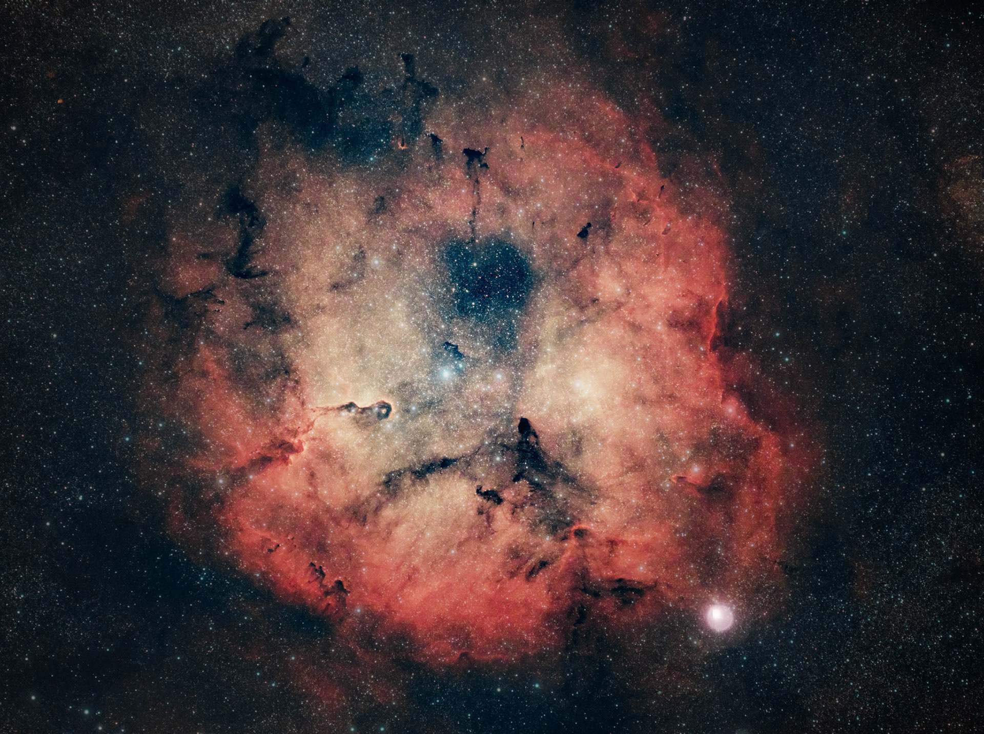 IC 1396 contient la nébuleuse de la Trompe d'éléphant, une grande nébuleuse en émission qui fait 3 à 5 fois le diamètre de la pleine lune dans le ciel terrestre.