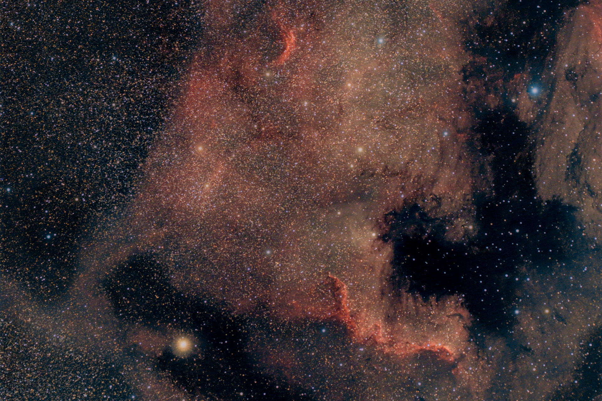 La nébuleuse de l'Amérique du Nord, cataloguée NGC 7000, est une nébuleuse en émission située à environ 580 pc (∼1 890 a.l.) dans la constellation du Cygne, près de Alpha Cygni1. Elle a une taille environ 15 pc (∼48,9 a.l.)1.