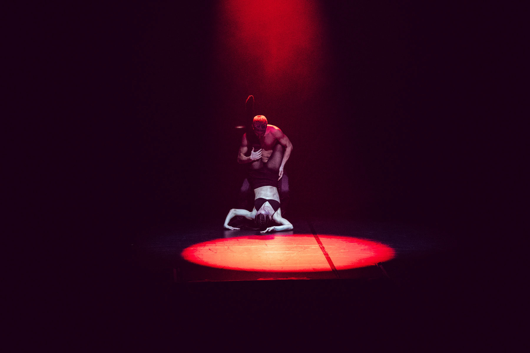 re.show