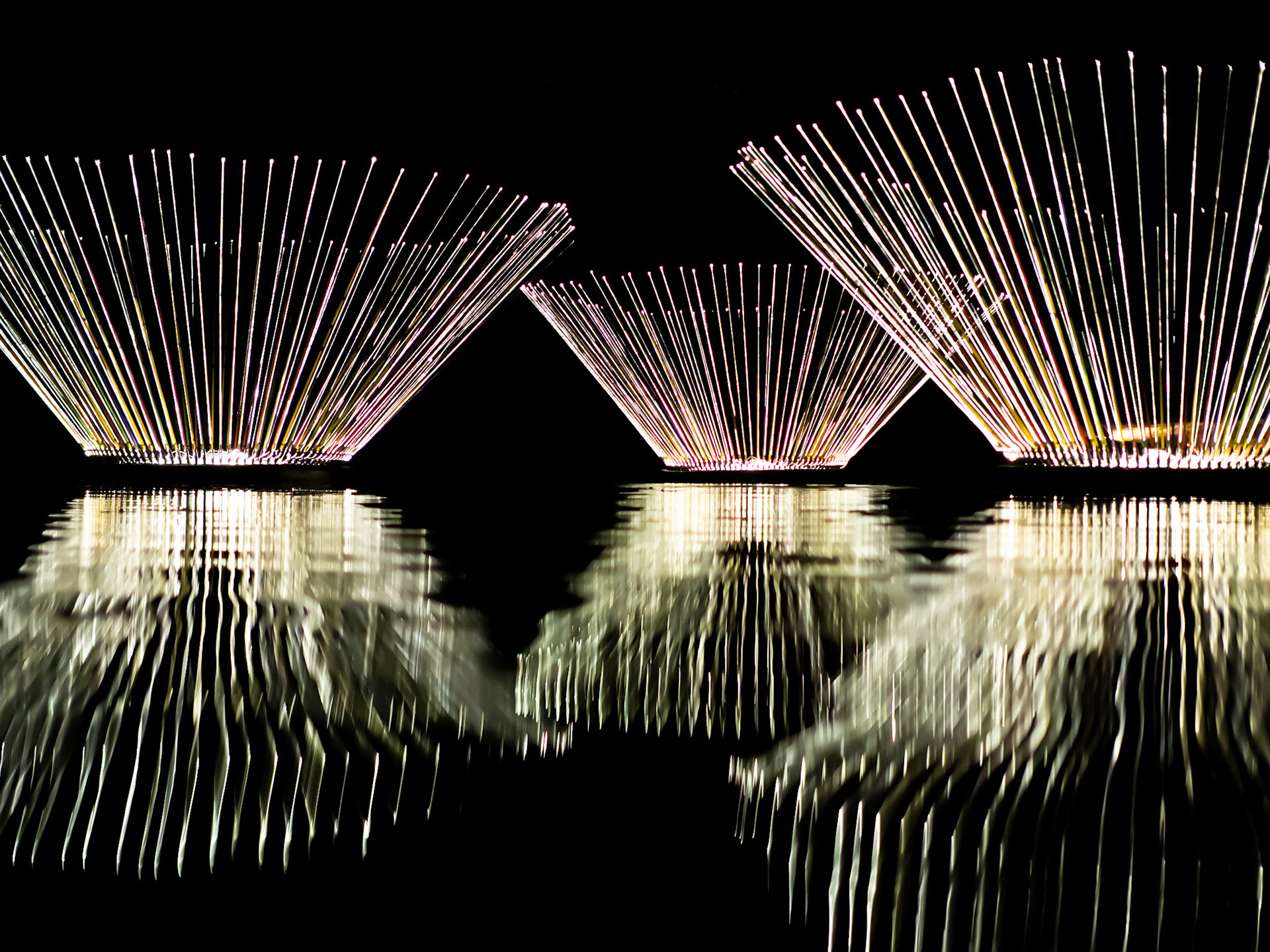 Light installation by Bruce Munro