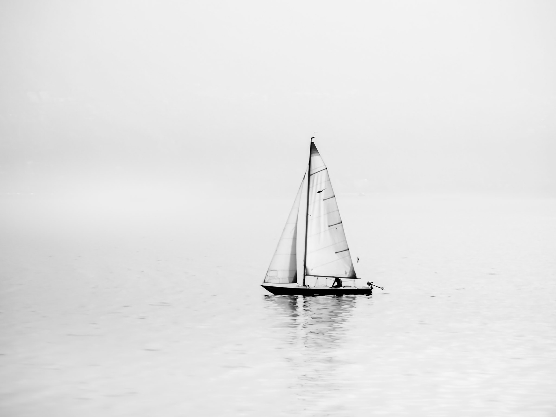 The world is a blank canvas waiting to be sailed