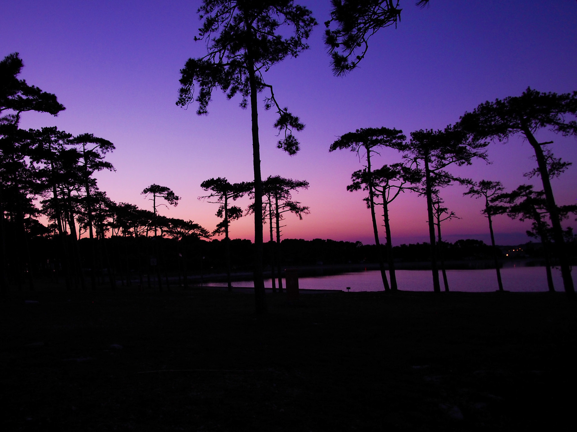 A peaceful moment. Istria, Croatia