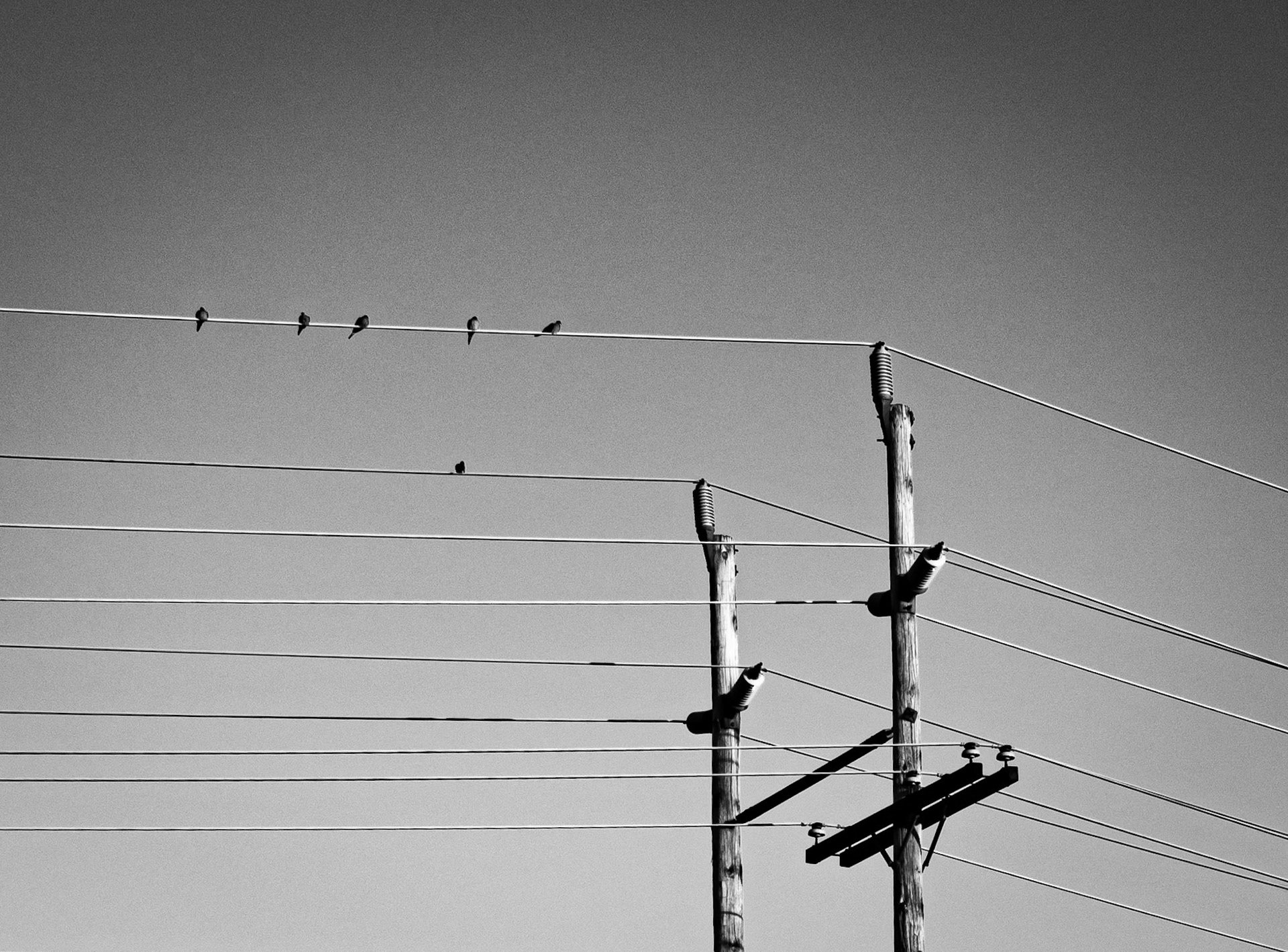 On the wire