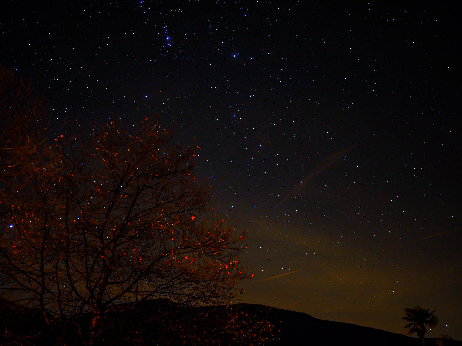 Starry night