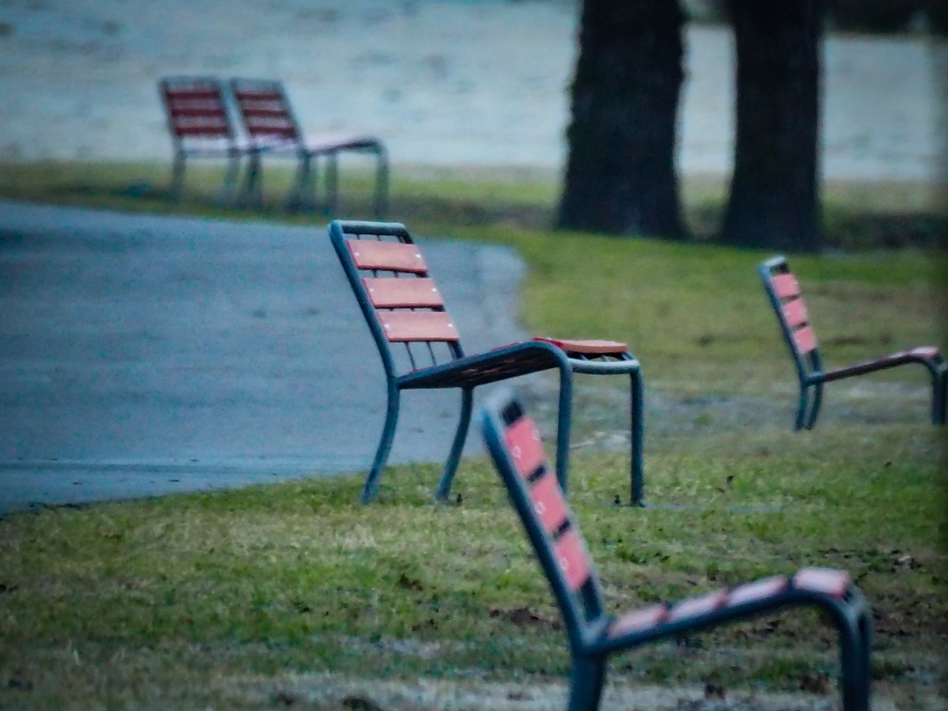 Benches seeking humans