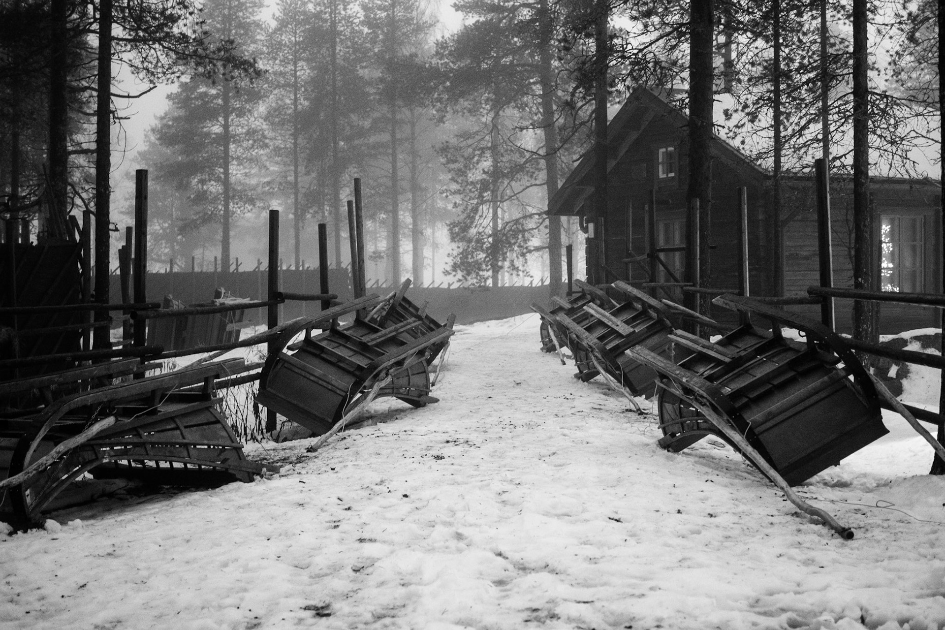 Reindeer sleighs