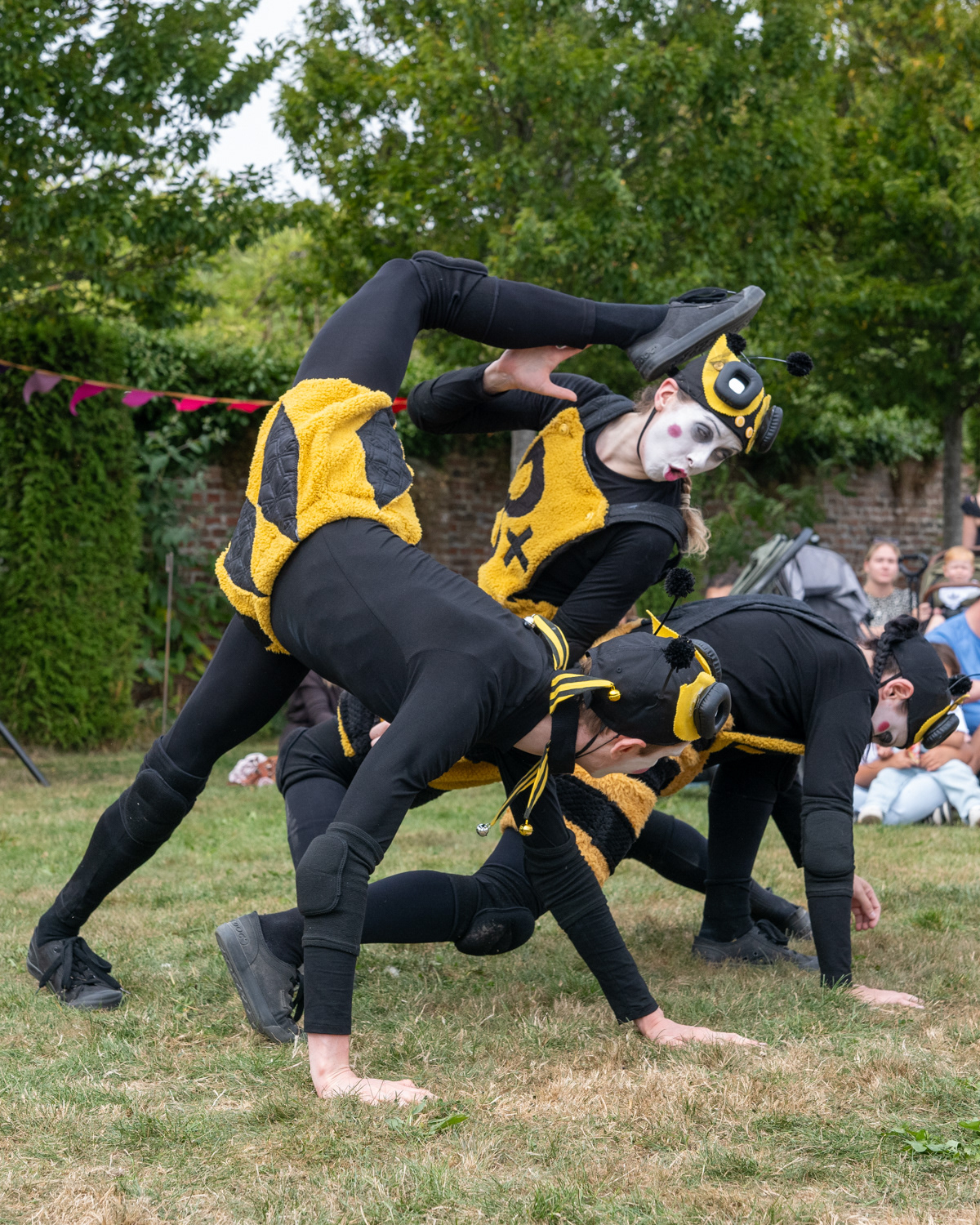 No Plan Bee, Society of Strays BTT