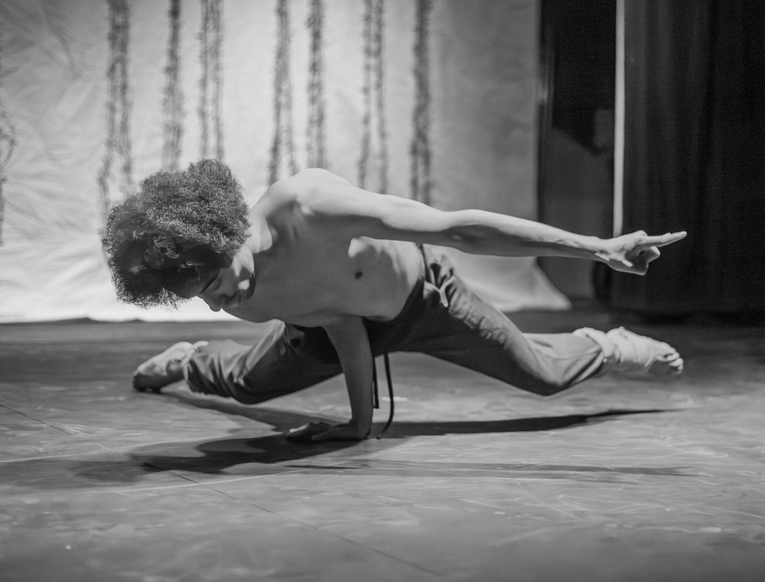 Divas of Bollywood, Saltburn. Matthew Redhead