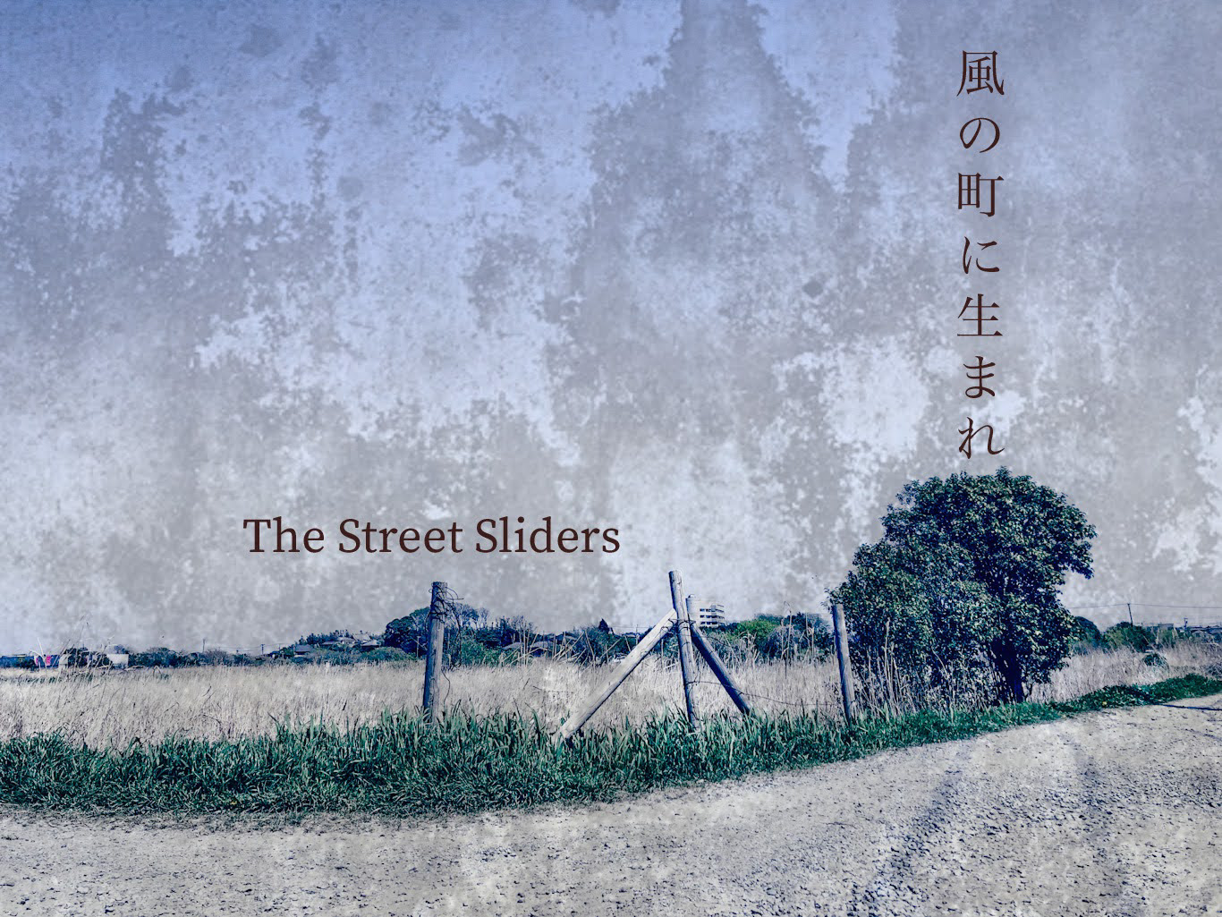 ichiba street