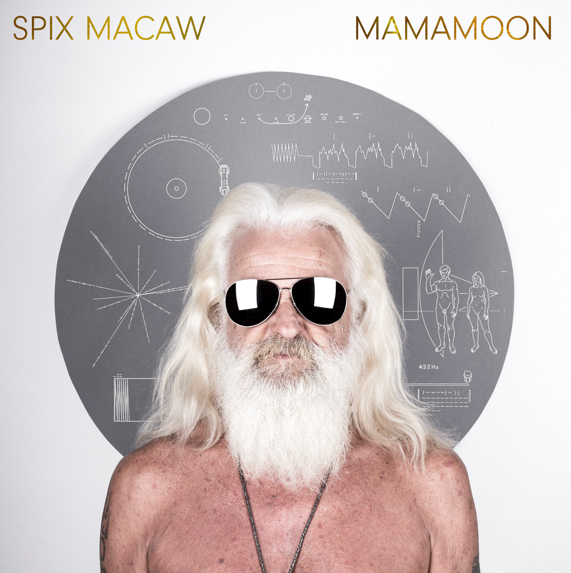 Spix Macaw - Mamamoon (2017)