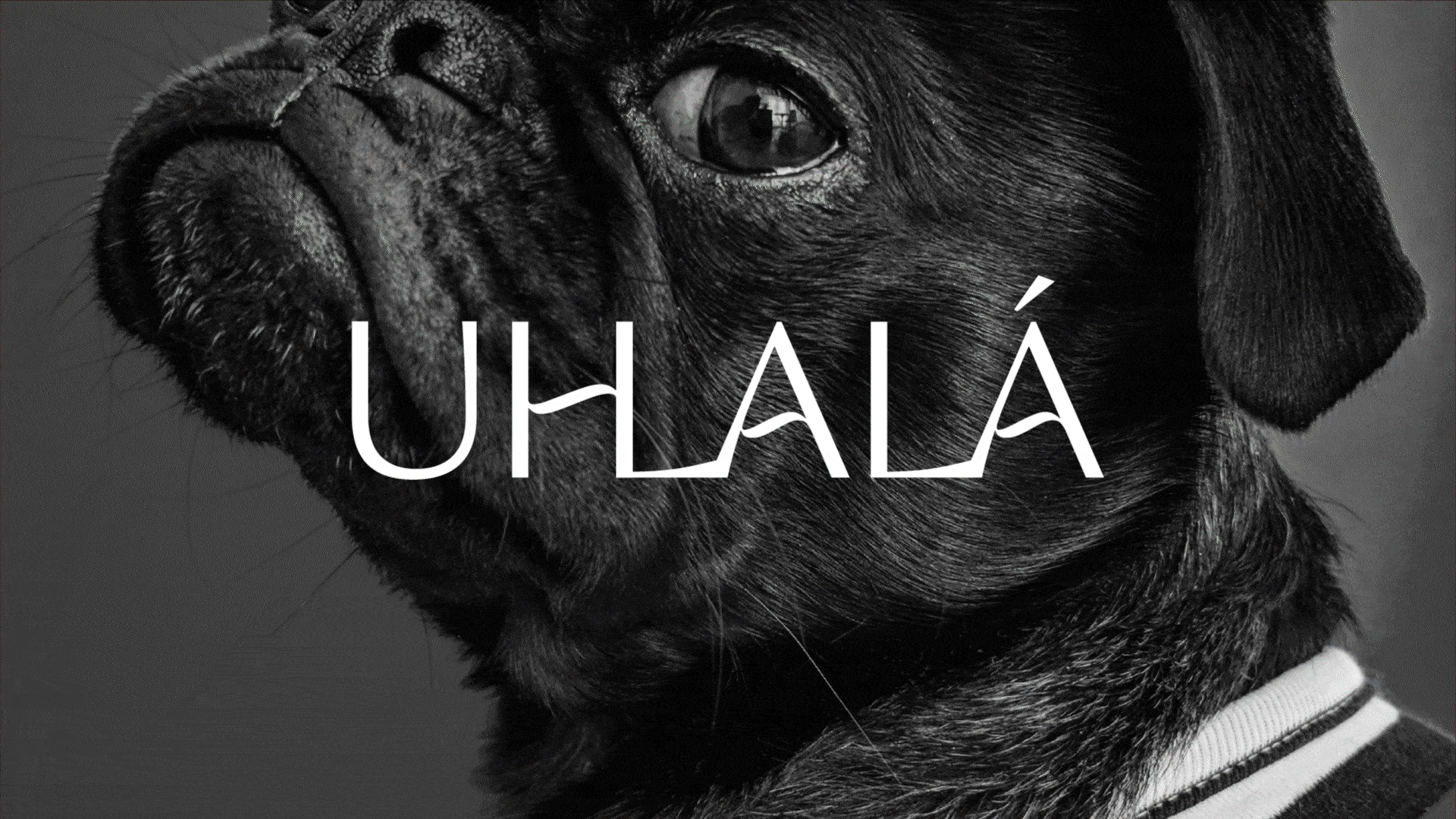 Uhlalá Logo
