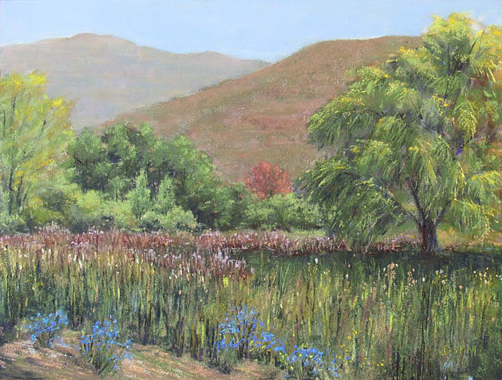 Cattails in Spring  9 x 12