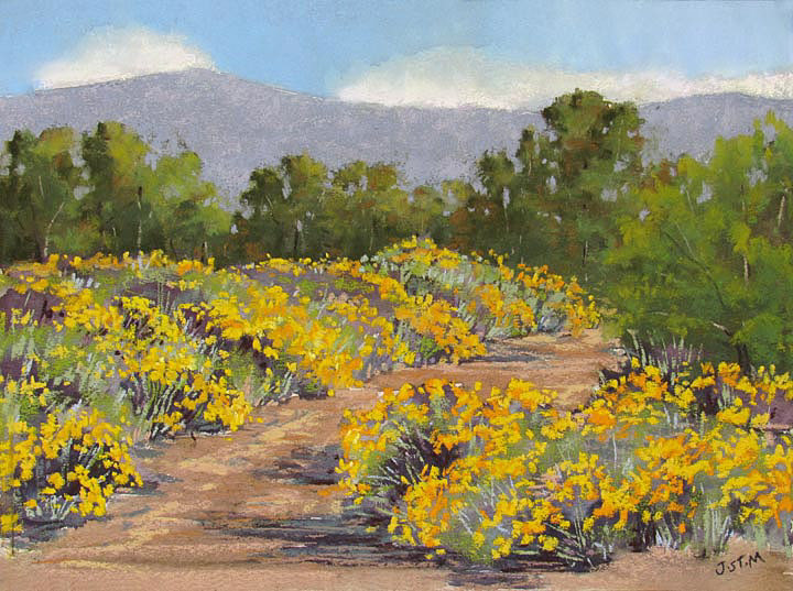 Chamisa in Full Bloom  9 x 12