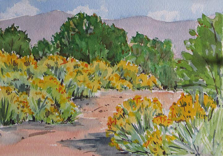 Blooming Chamisa  5 x 7