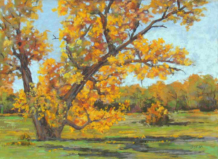 The Old Showoff 9 x 12