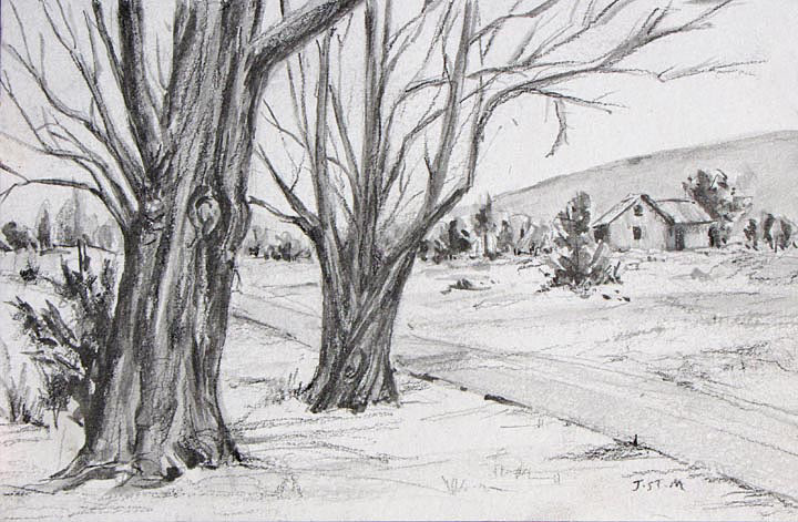 Sentinals 4 x 6