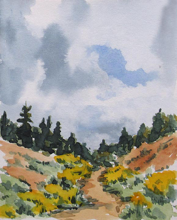 Hiking Path  6 x 5