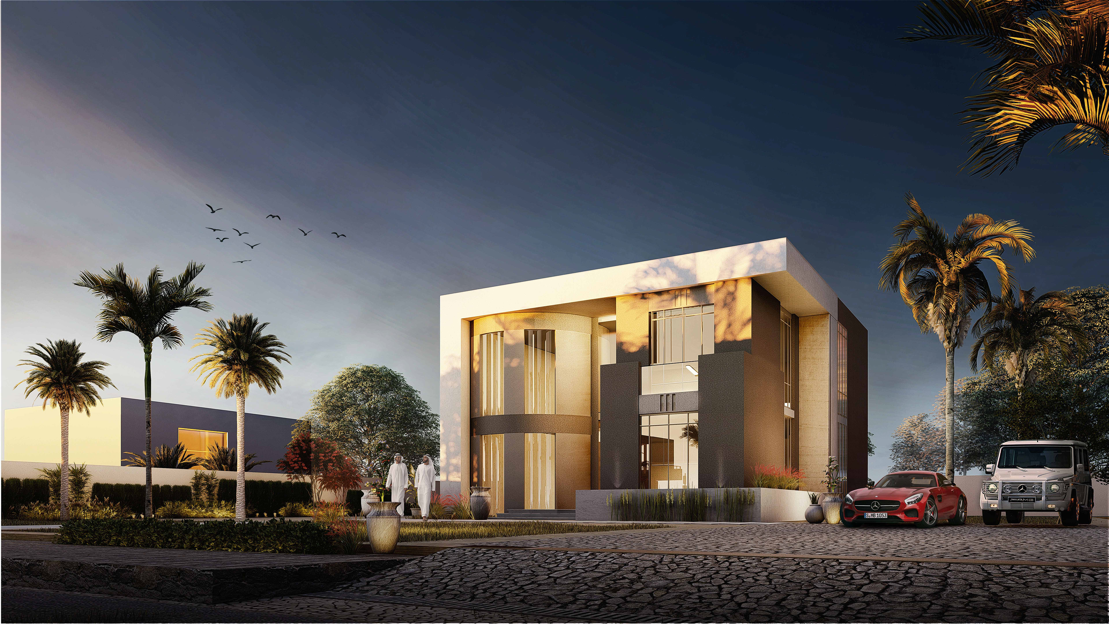 scope of work :  design + visualization