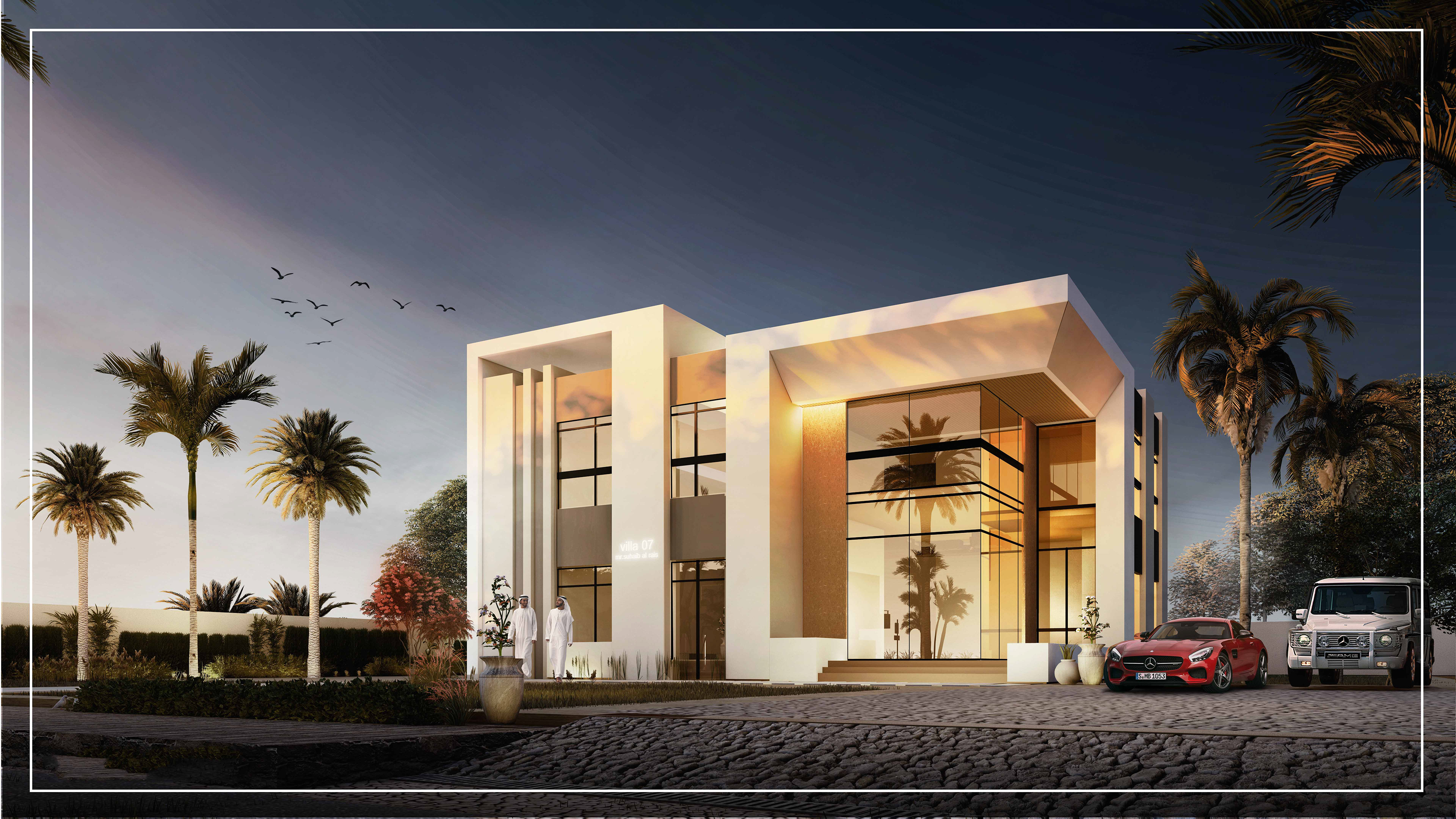 scope of work :  design + visualization