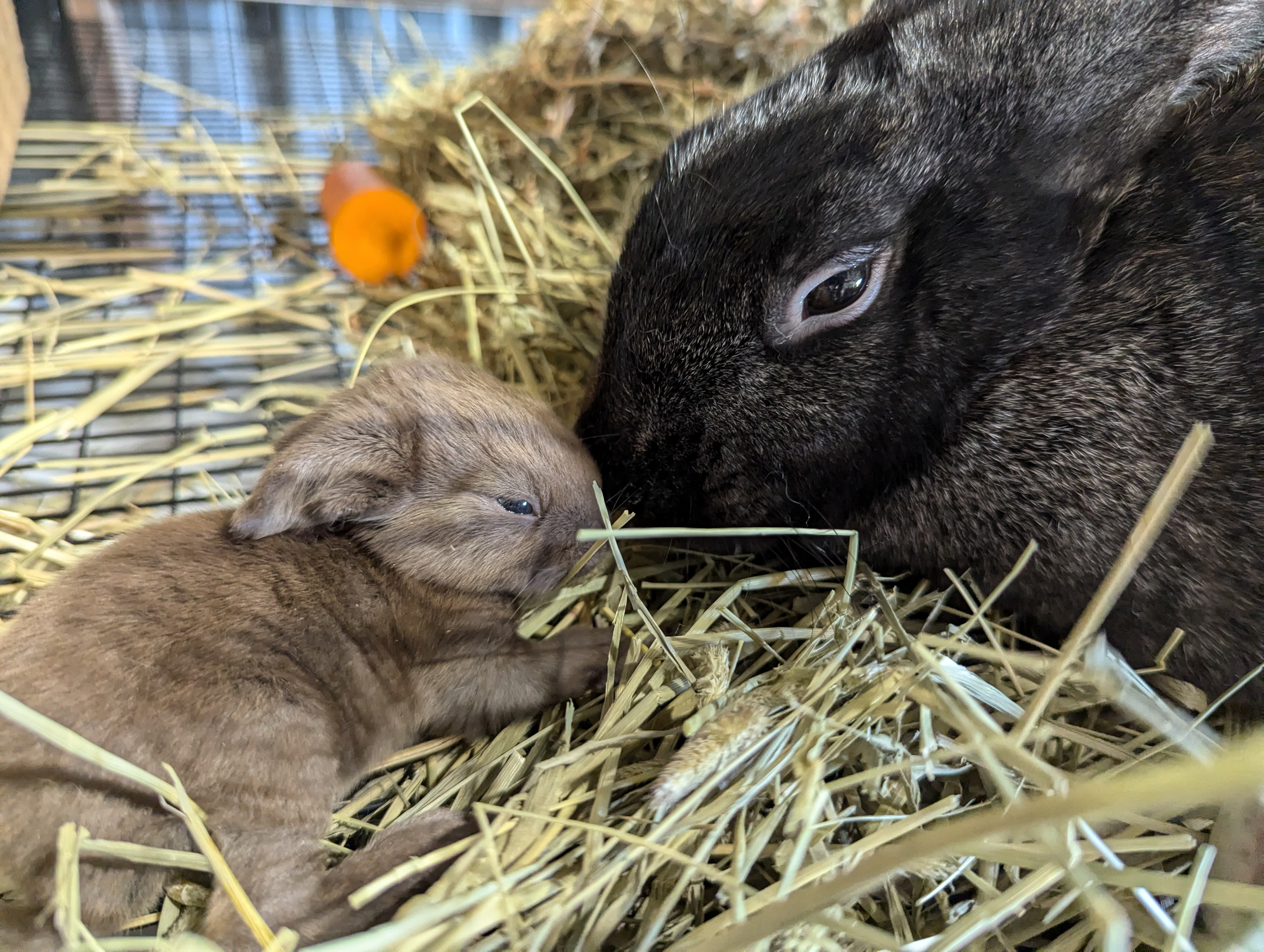 Gloria and baby Arnulfo.