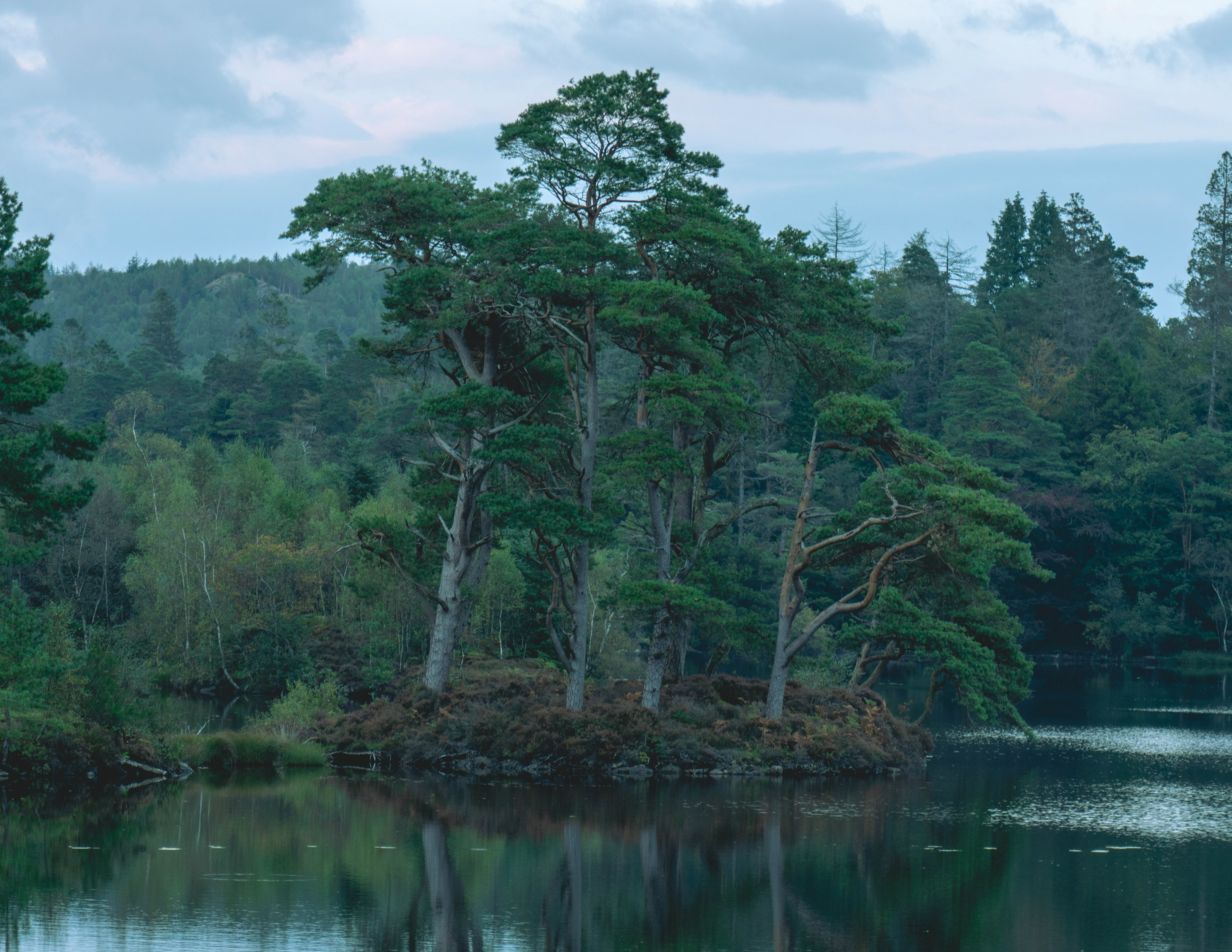 Tarn Hows - September 2024