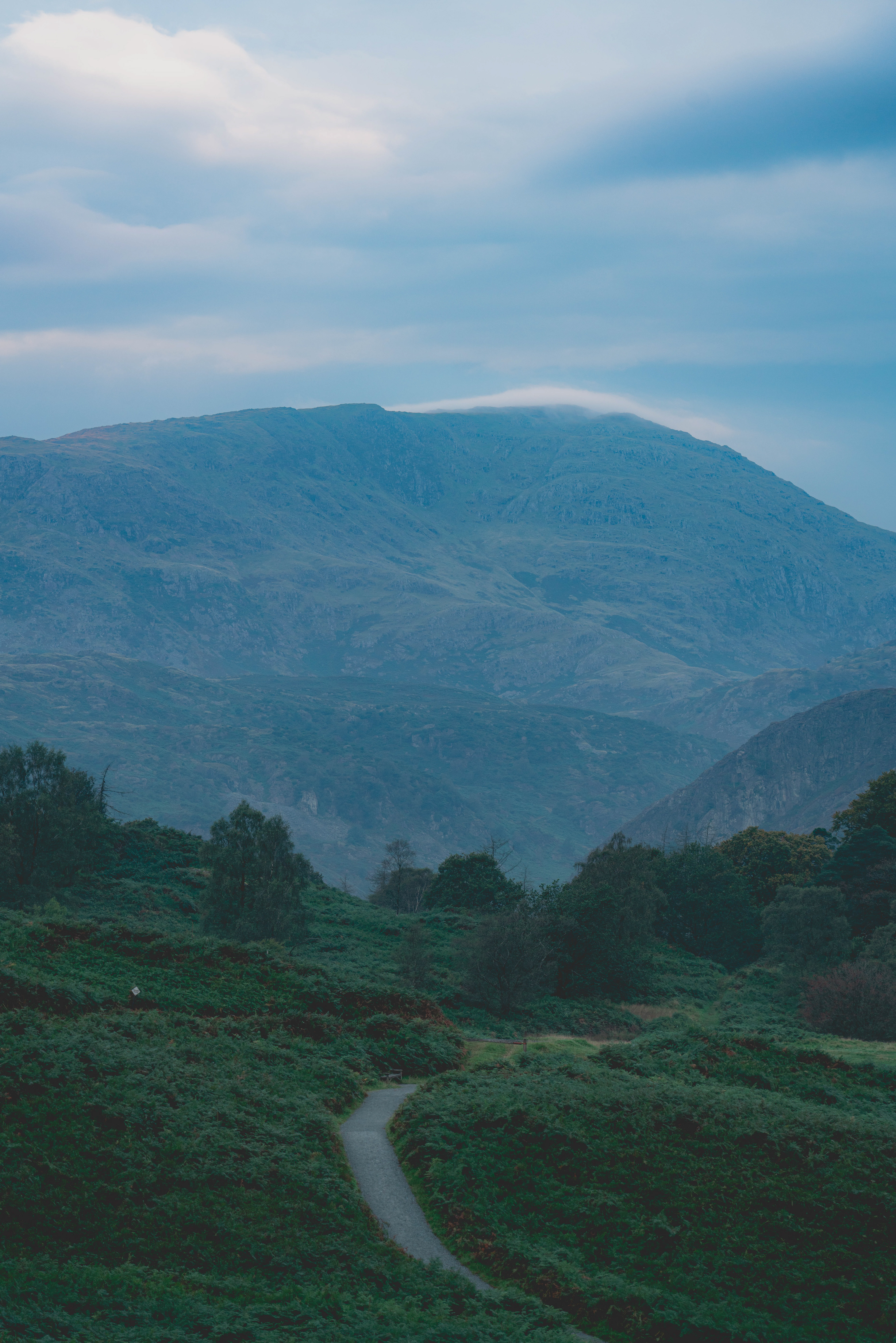 Tarn Hows - September 2024
