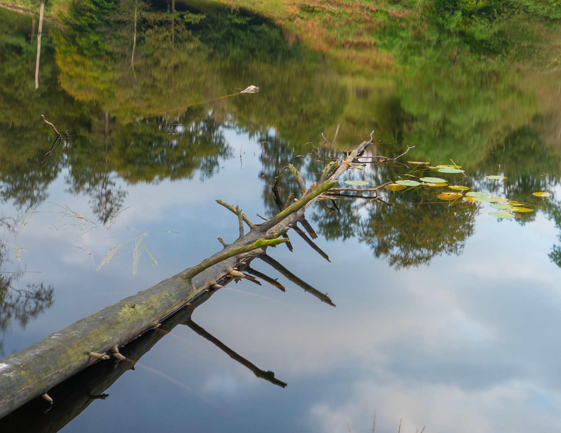 Tarn Hows - September 2024