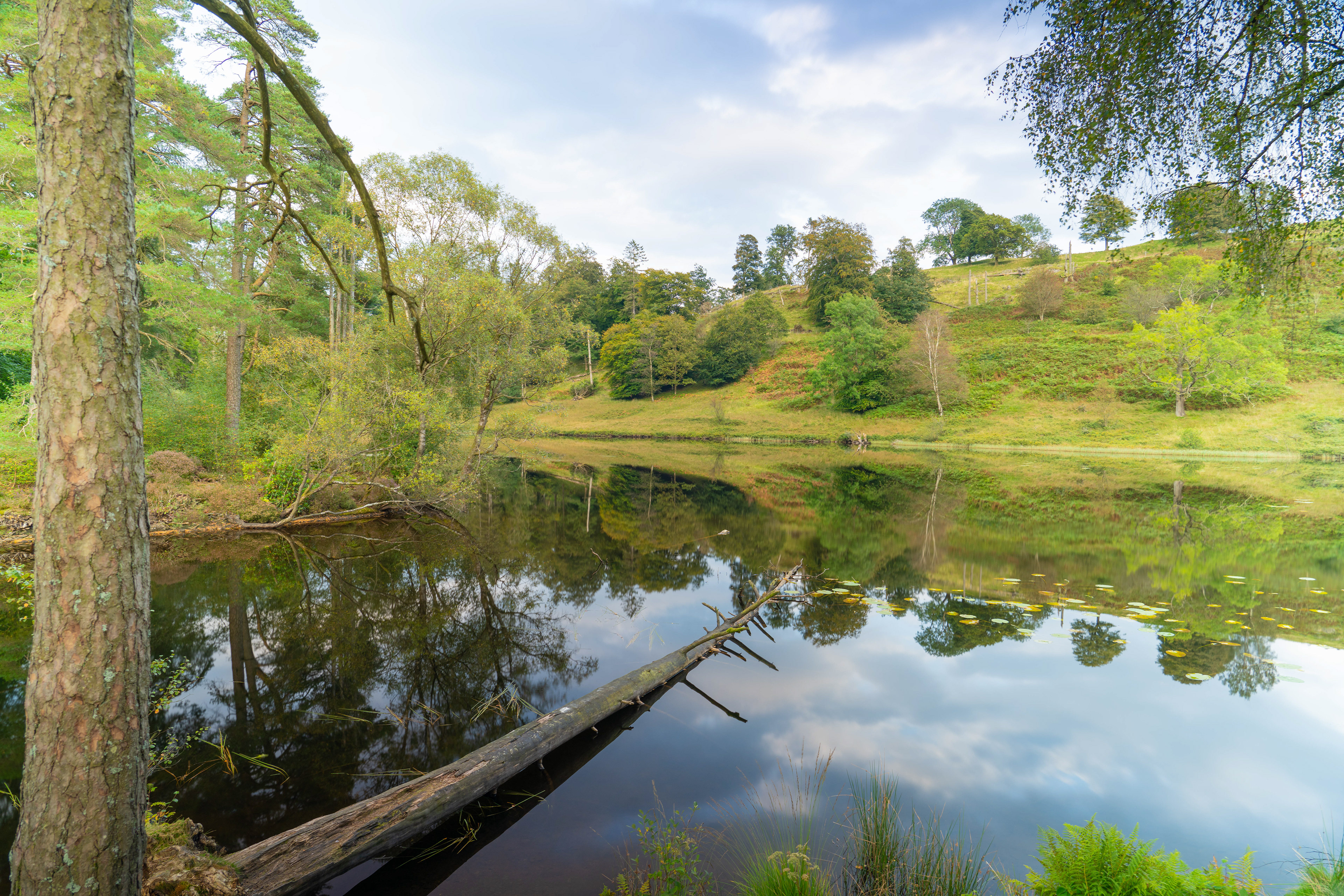 Tarn Hows - September 2024