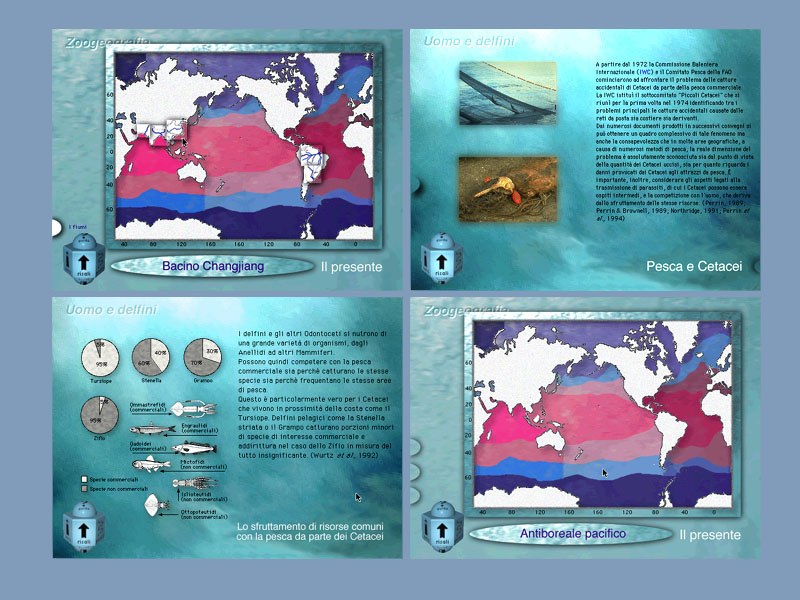 Internal pages and details