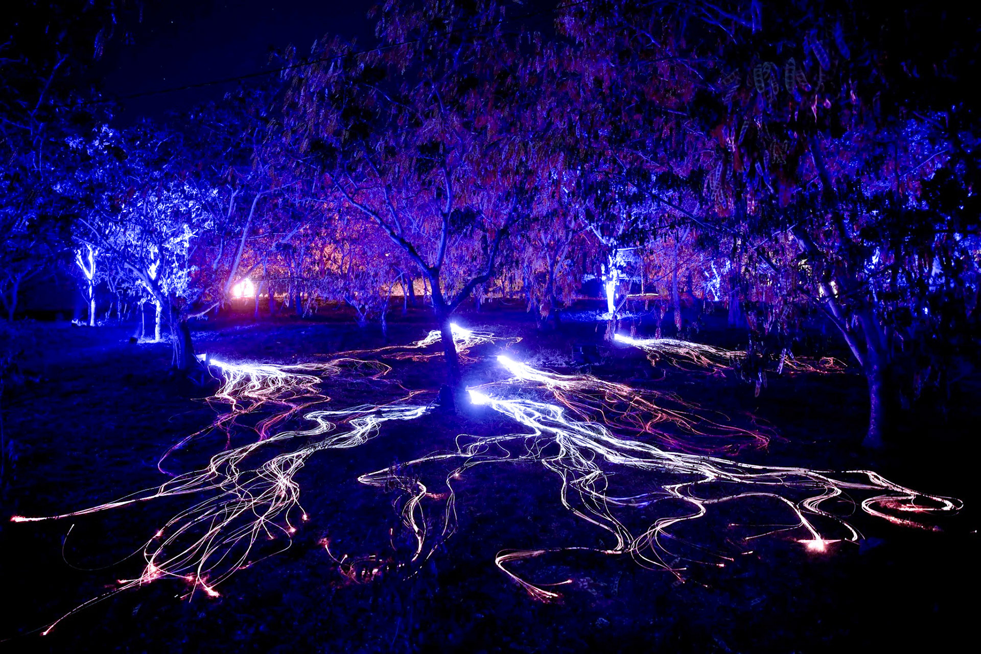 Porlwi by Nature - Festival - Mauritius