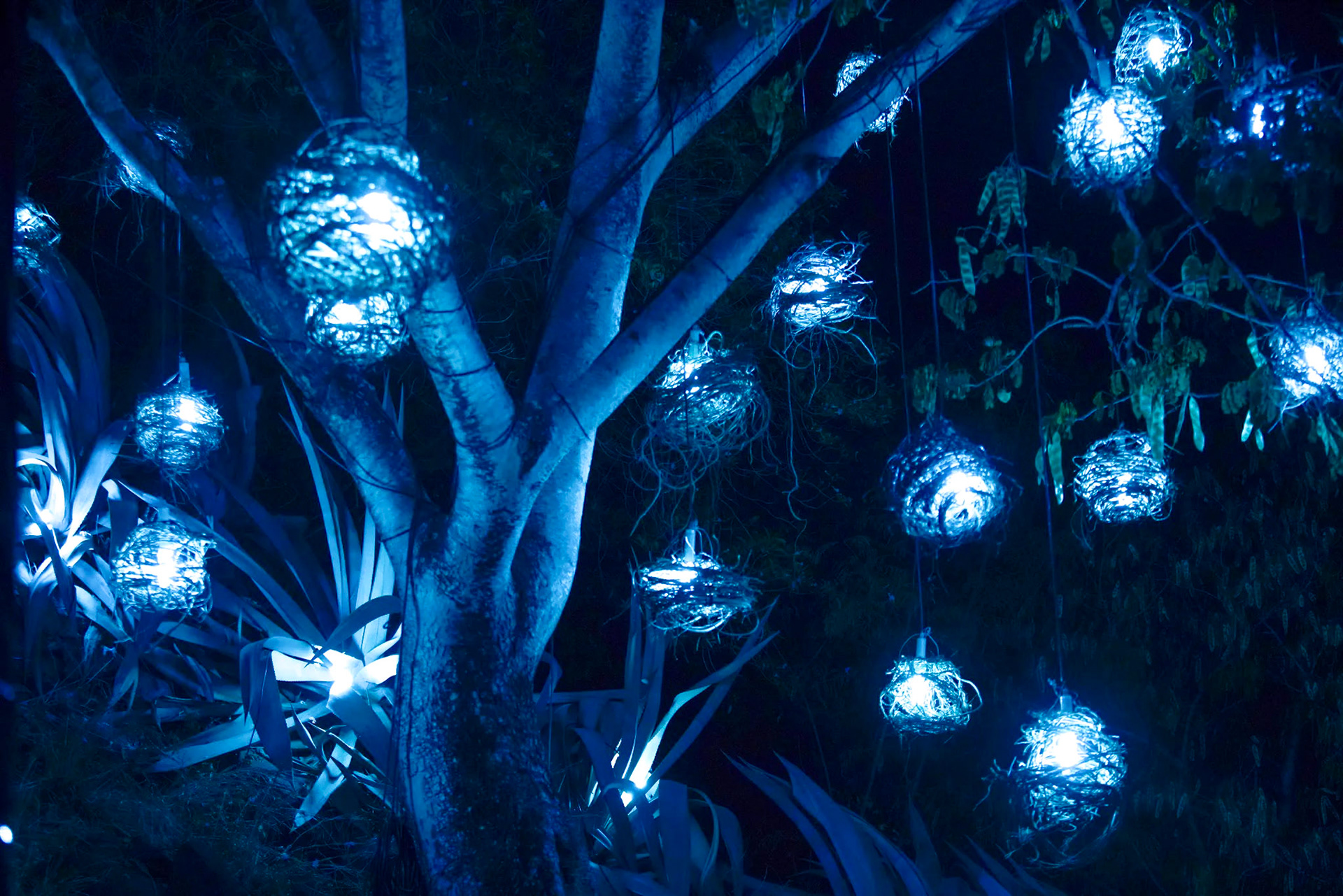 Porlwi by Nature - Festival - Mauritius