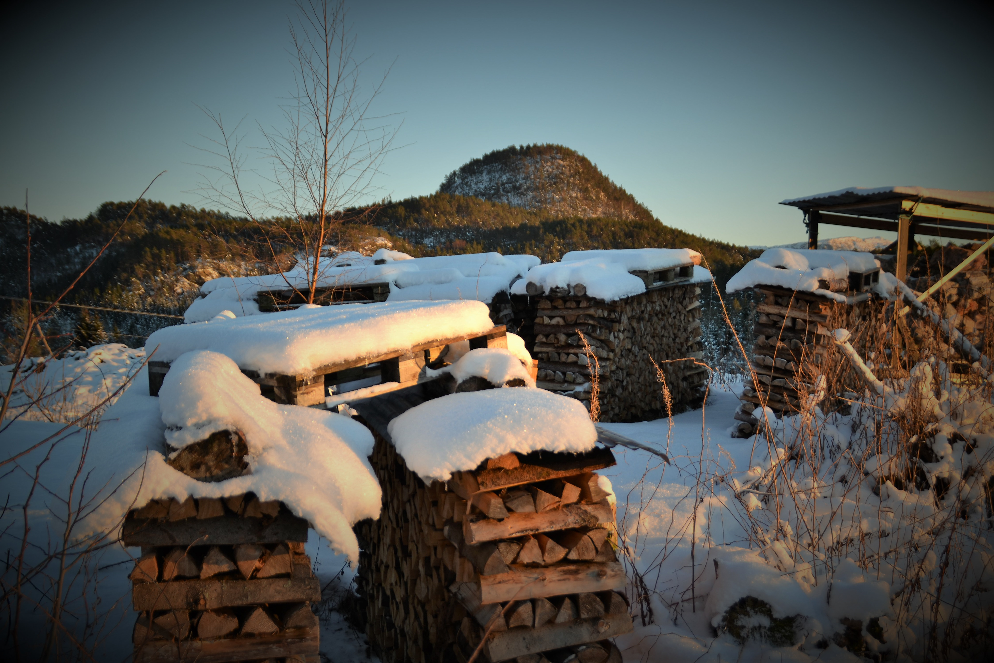 I ein kald vinter trengst ved. Såto i bakgrunnen.