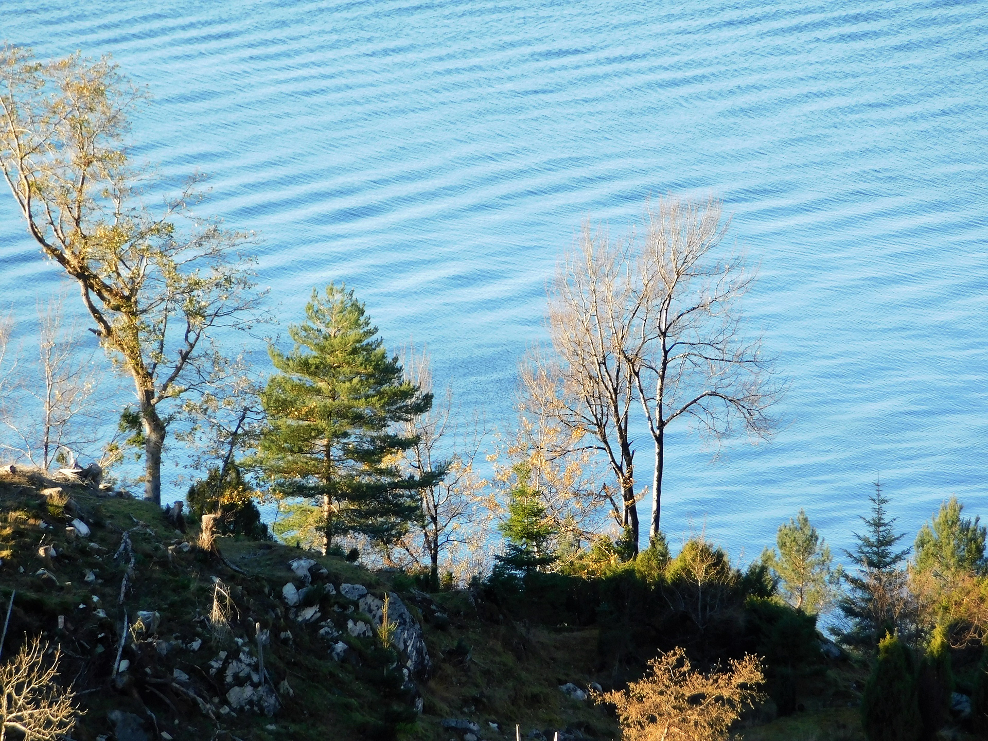 Bratt skrent ned til sjøen finn du somme stader.