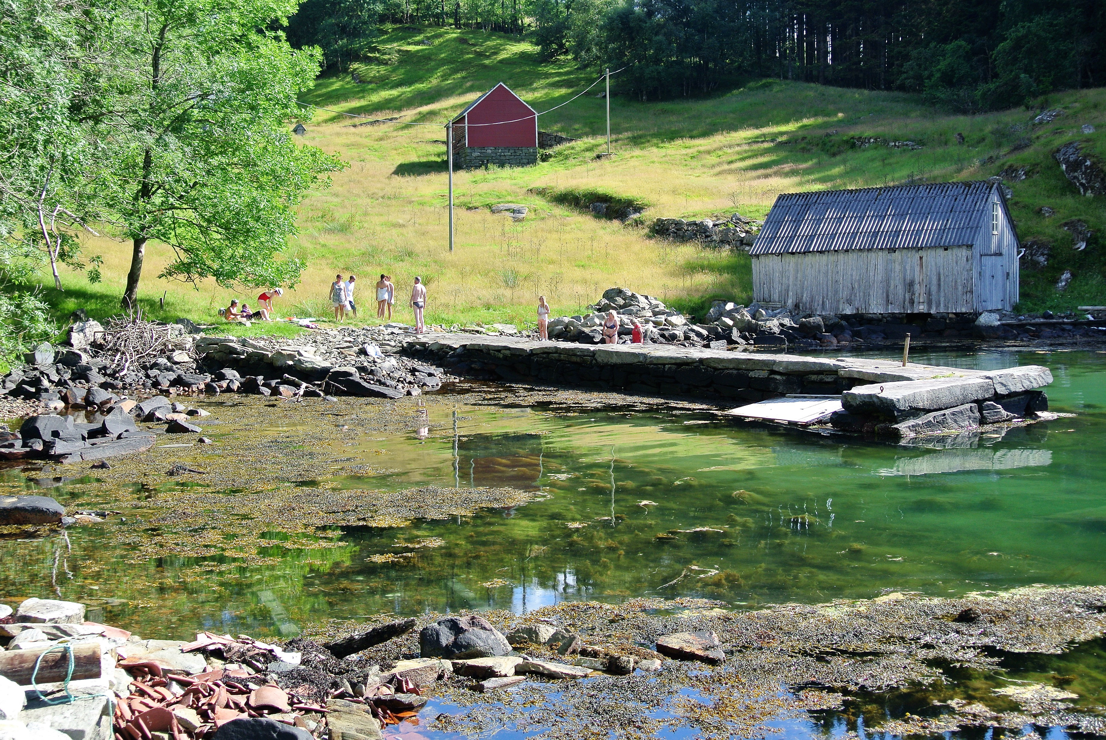Badeliv i Fatlandshavnen