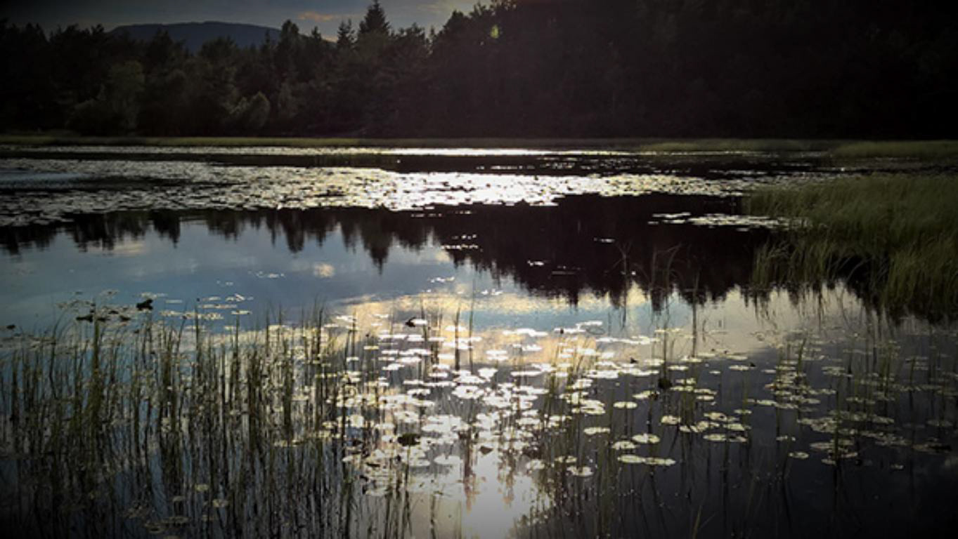 Fatlandsvatnet kan gå rett inn i kva eventyr som helst.