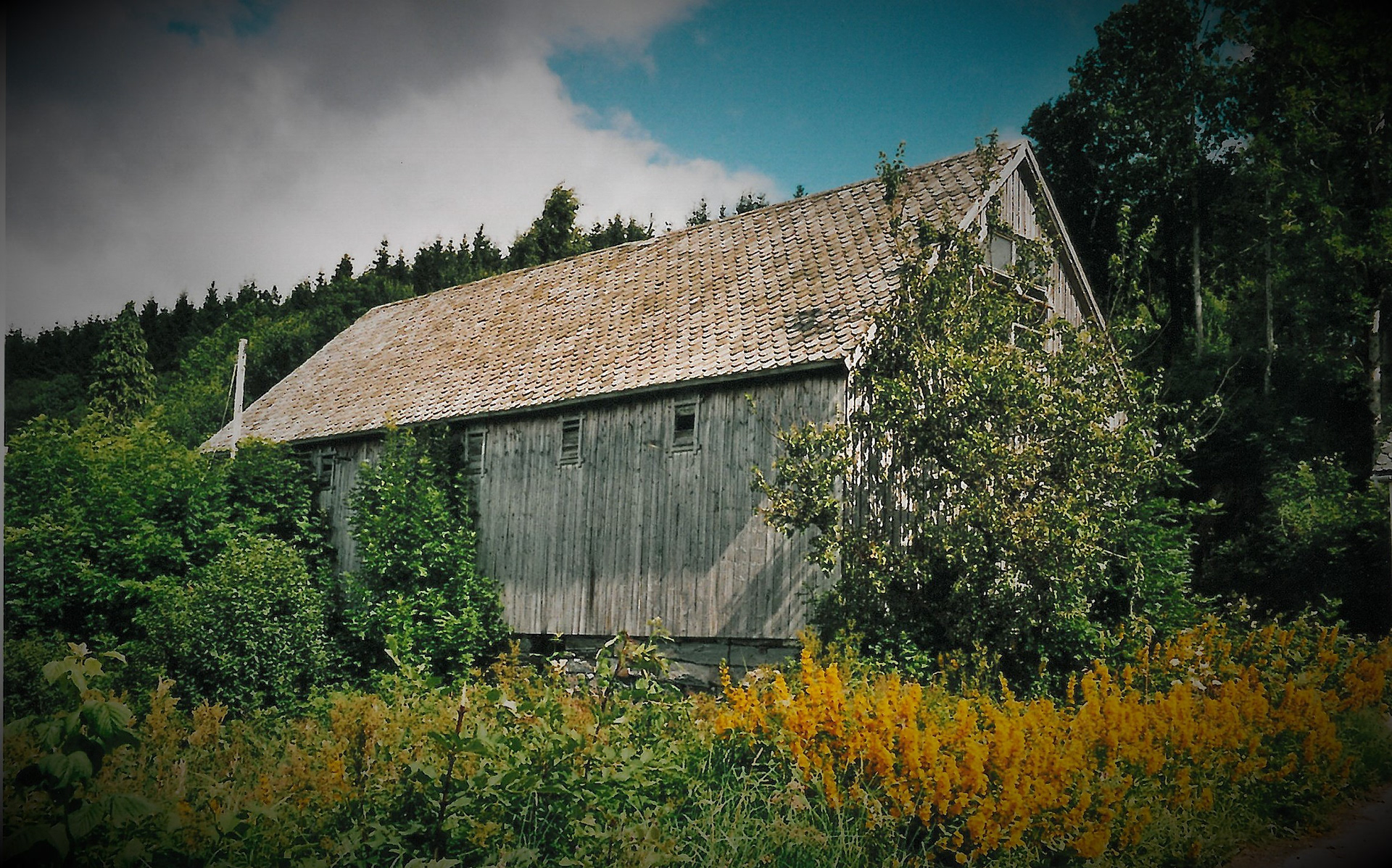 Gamleløa på hovudbruket på Fatland. Foto: Kari Brandal, i 2005, før løa vart riven.