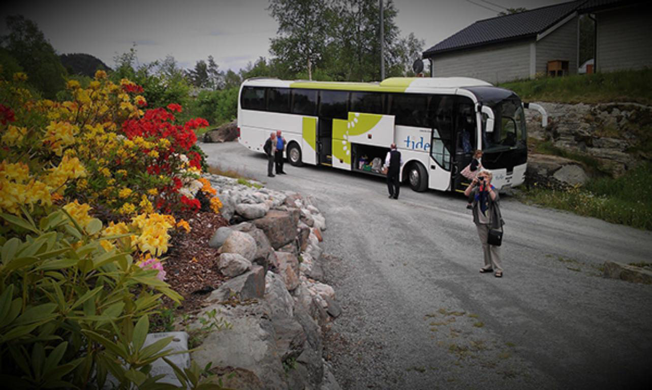 Det hender at heile busslaster kjem for å sjå på dei eventyrlege hagane på Fatland.