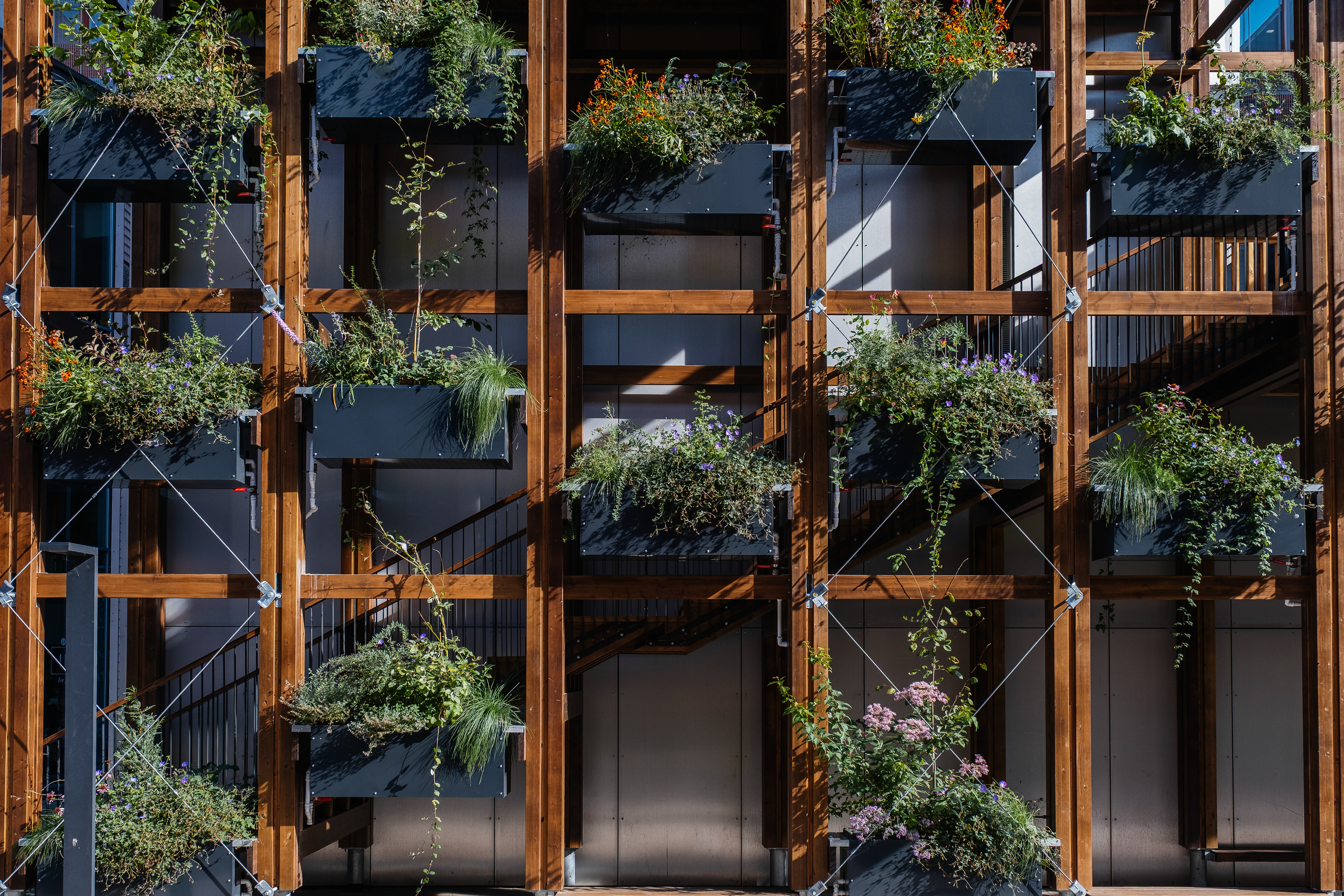 InnoGreen / Eva Lingon Ltd.