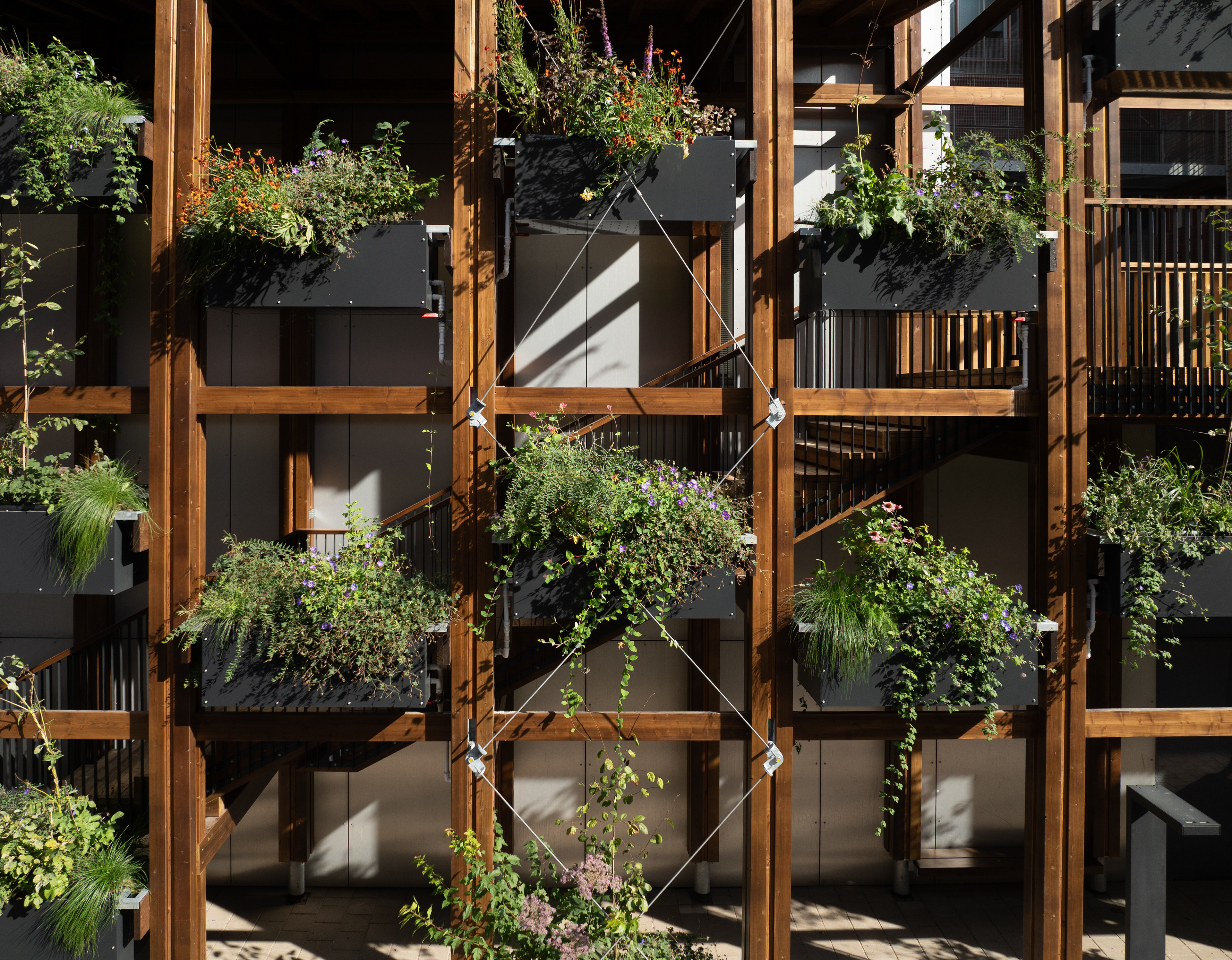 InnoGreen / Eva Lingon Ltd.