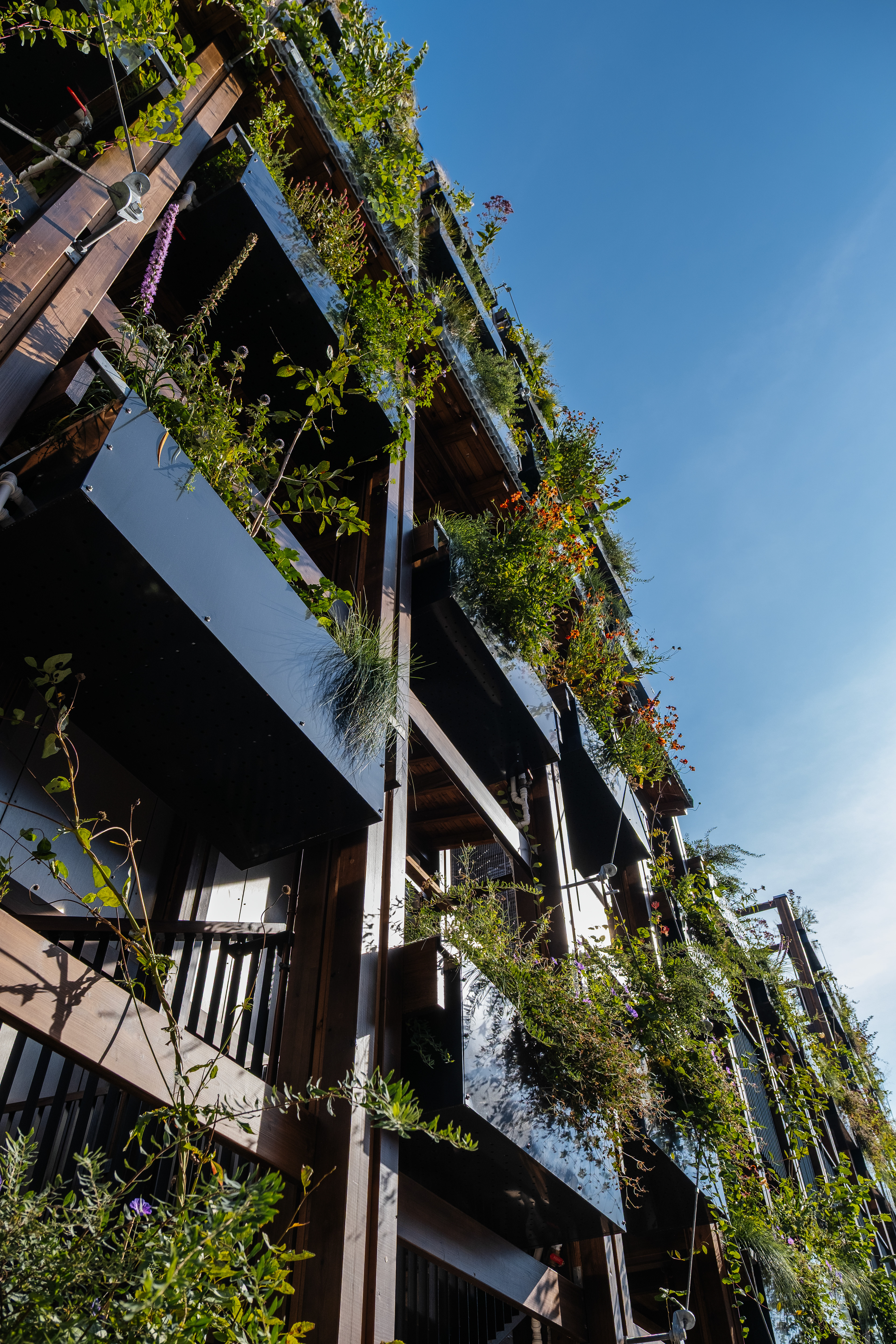 InnoGreen / Eva Lingon Ltd.