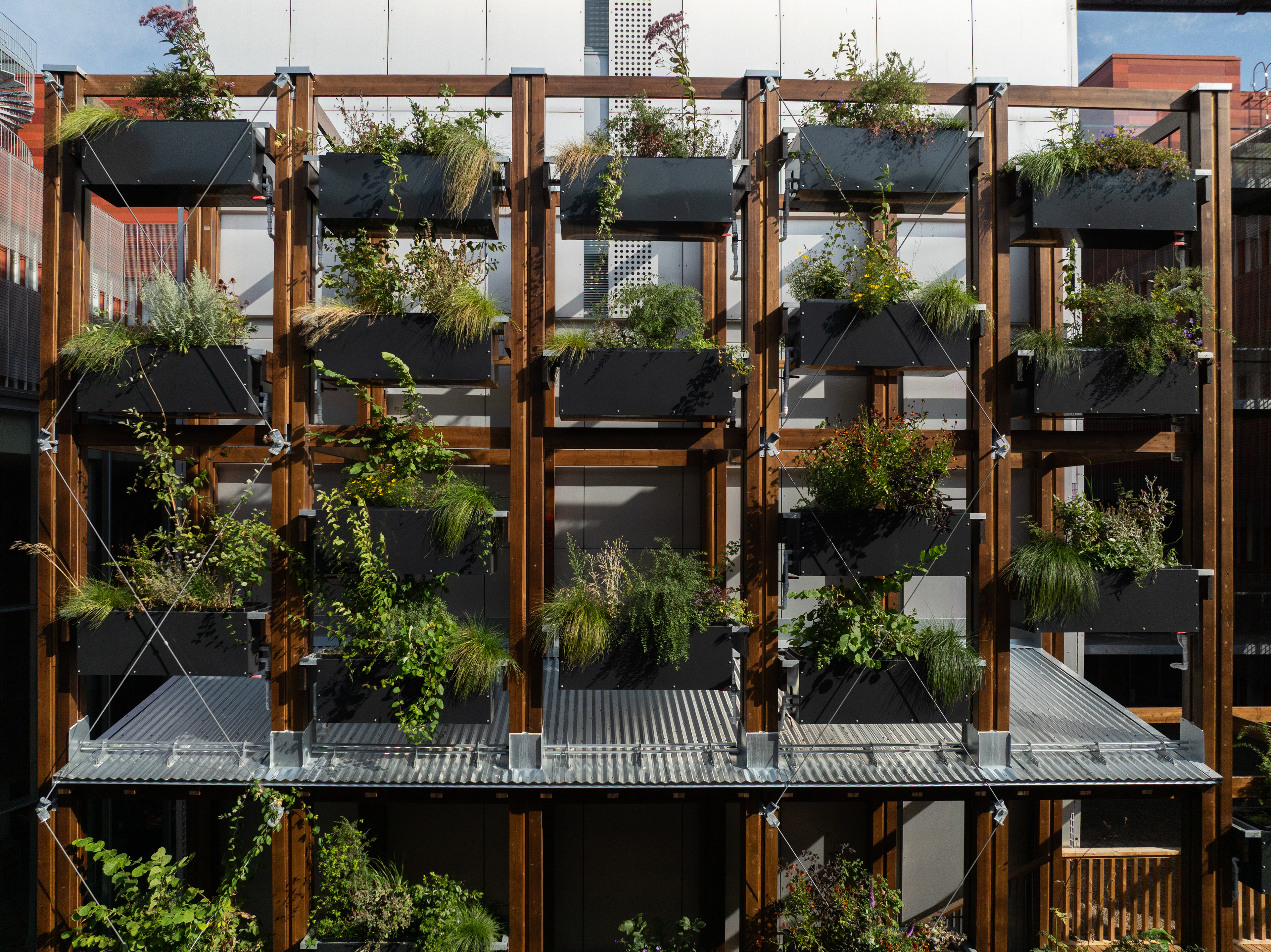 InnoGreen / Eva Lingon Ltd.