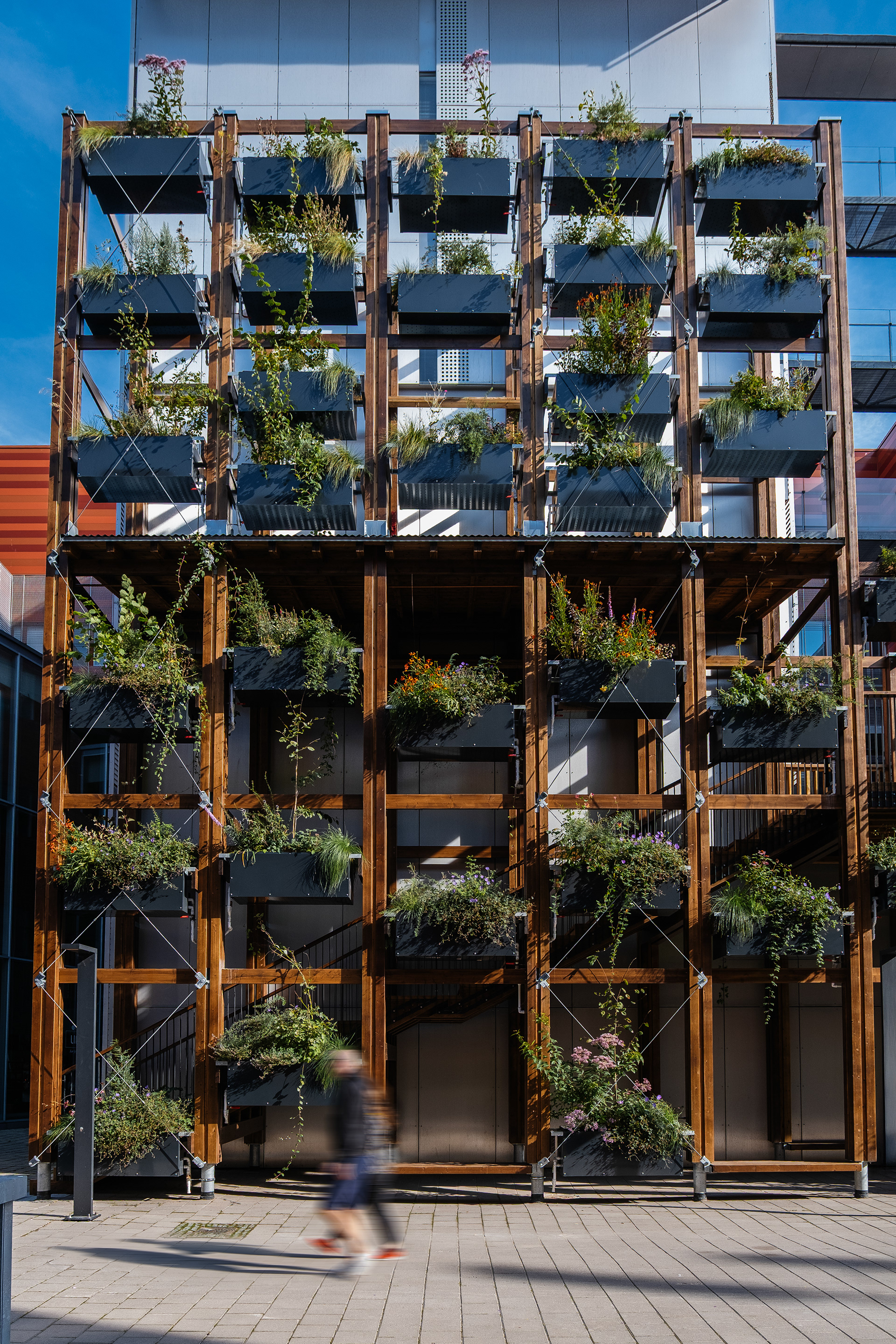 InnoGreen / Eva Lingon Ltd.