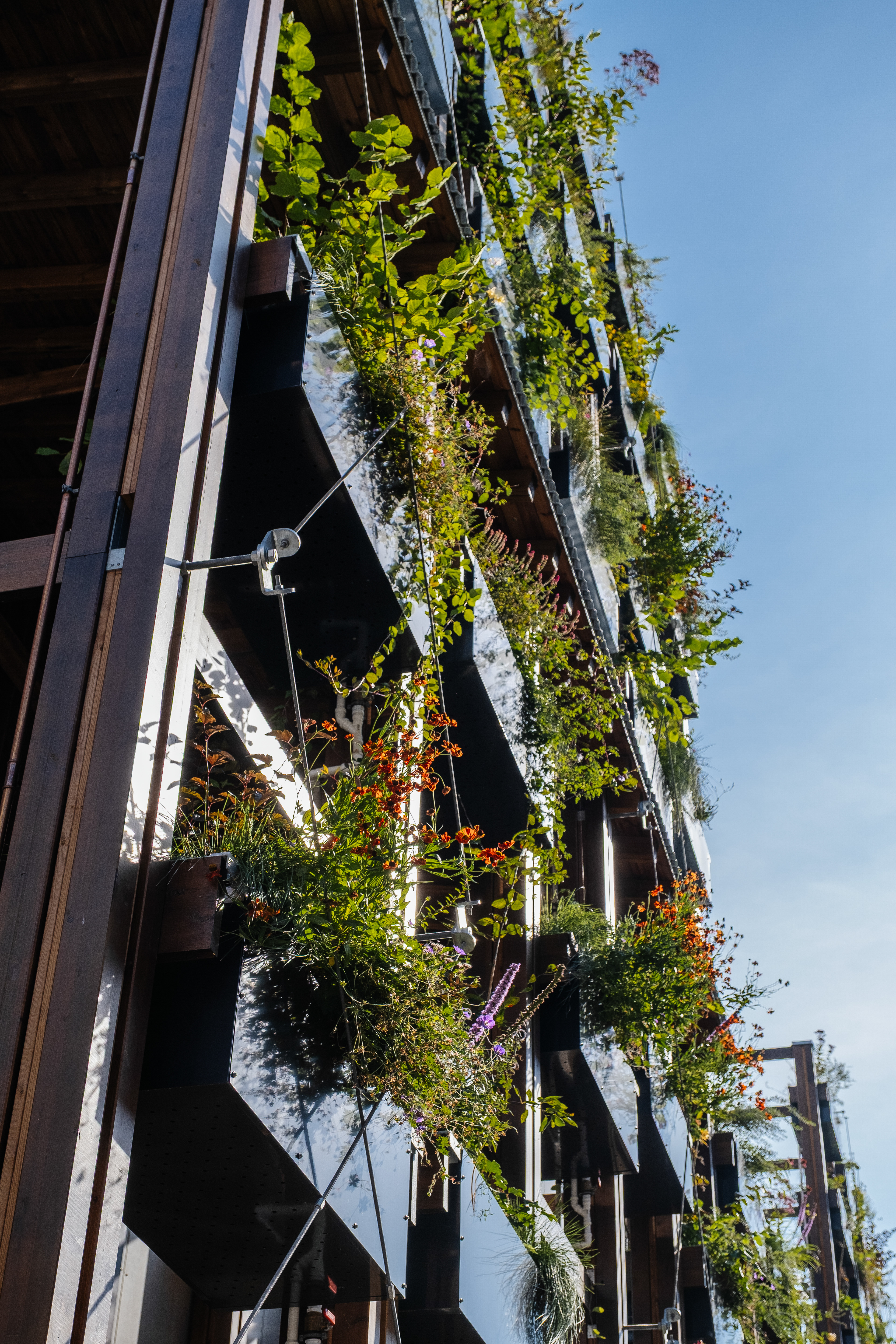 InnoGreen / Eva Lingon Ltd.