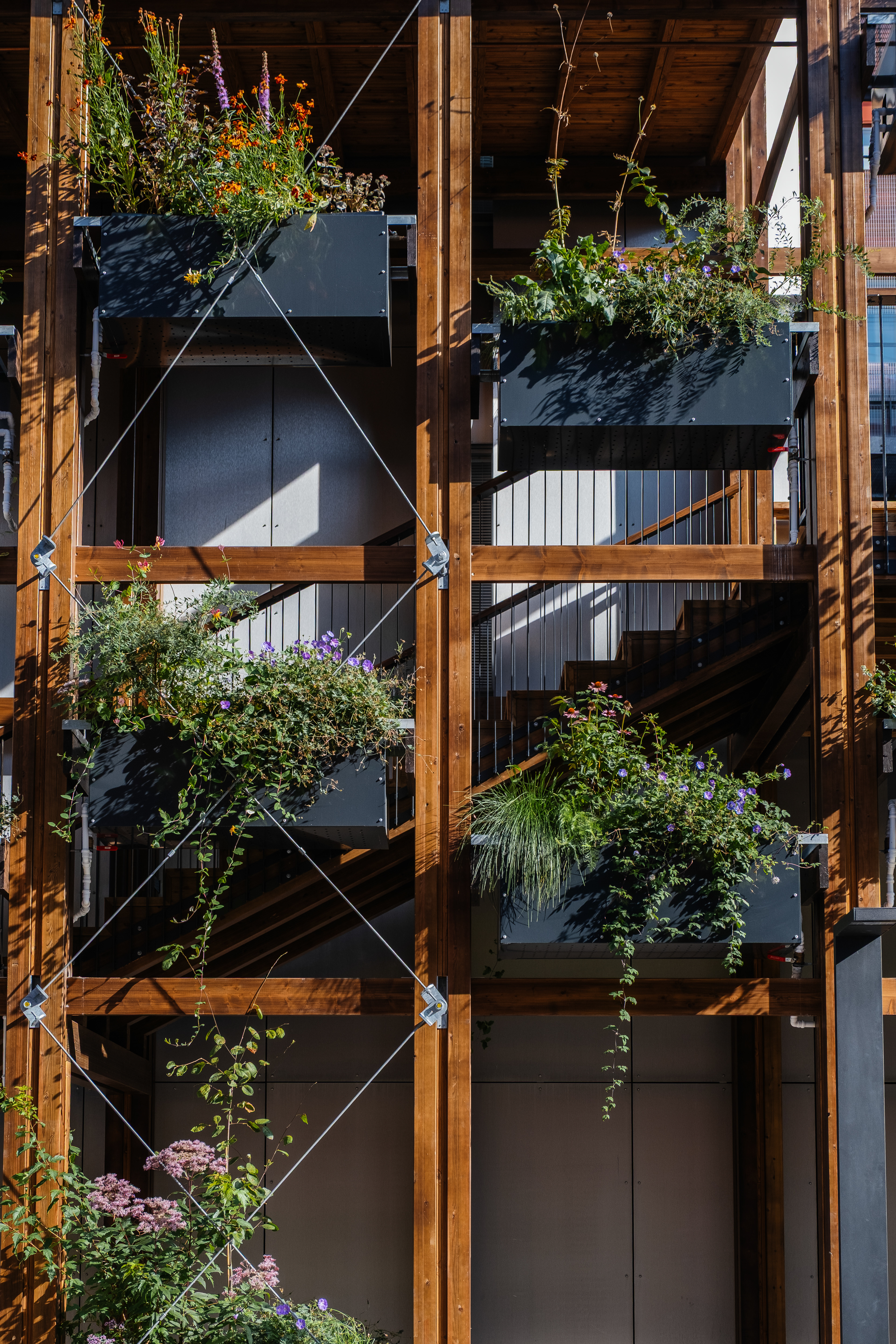 InnoGreen / Eva Lingon Ltd.