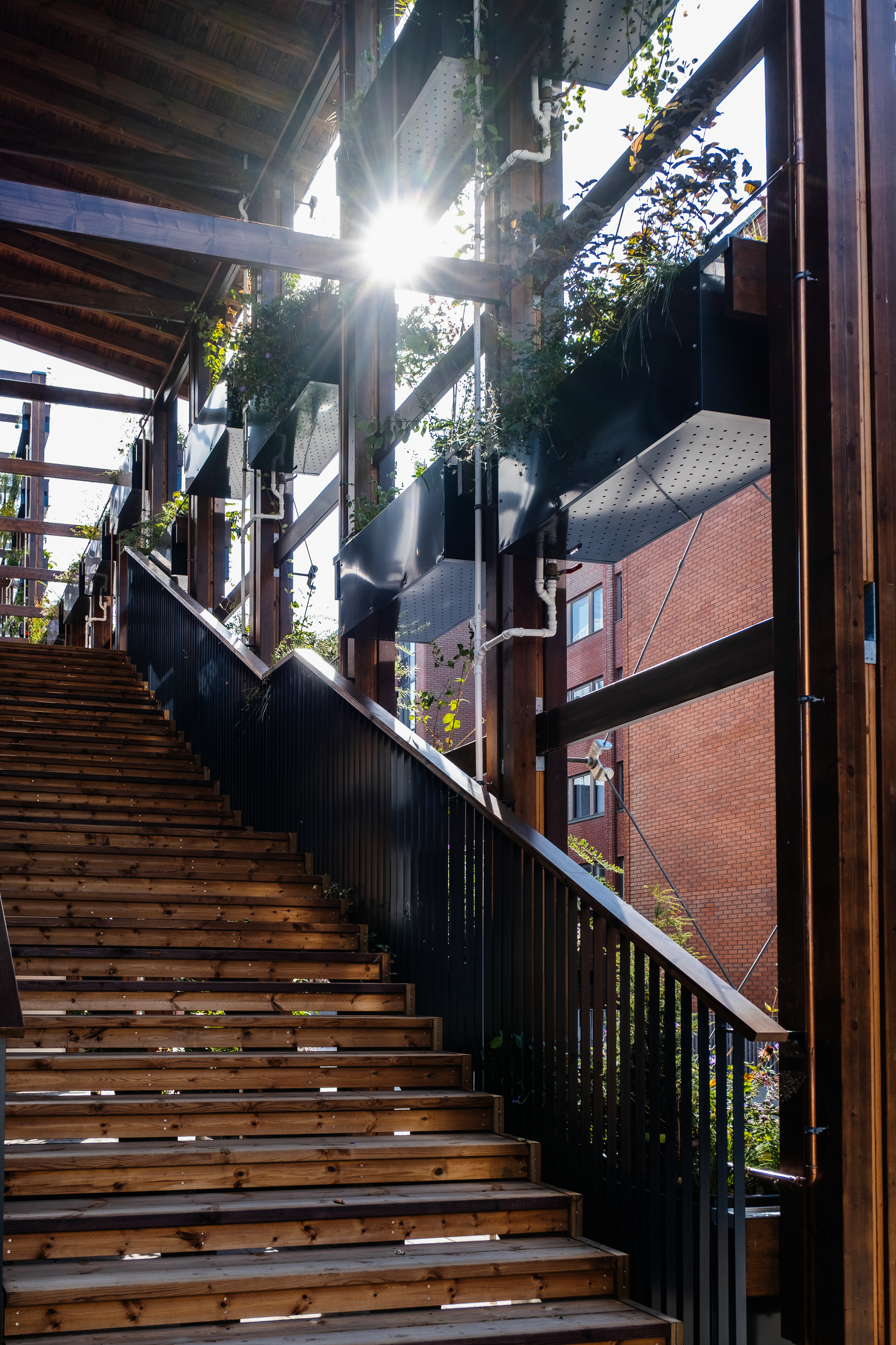 InnoGreen / Eva Lingon Ltd.