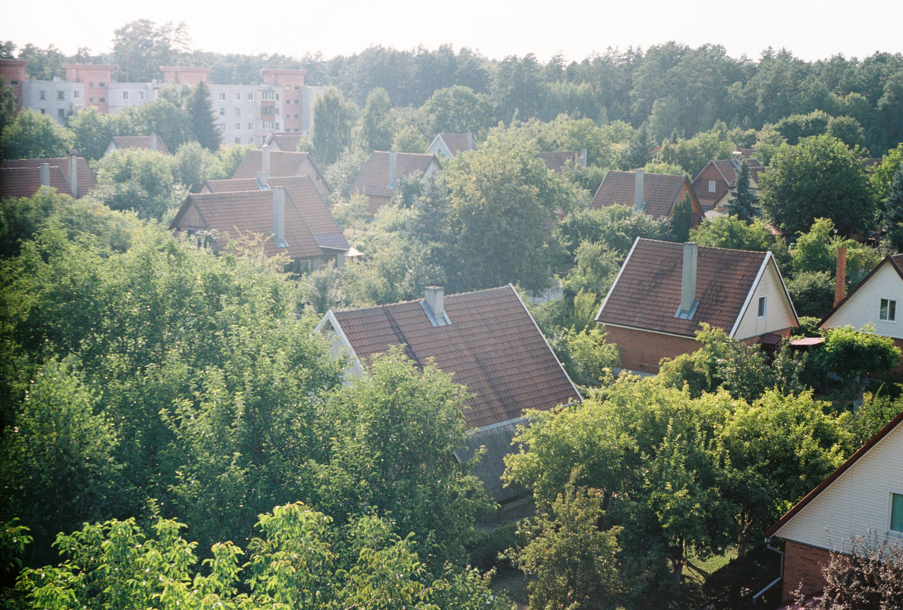 Photo: Polina Koloskova