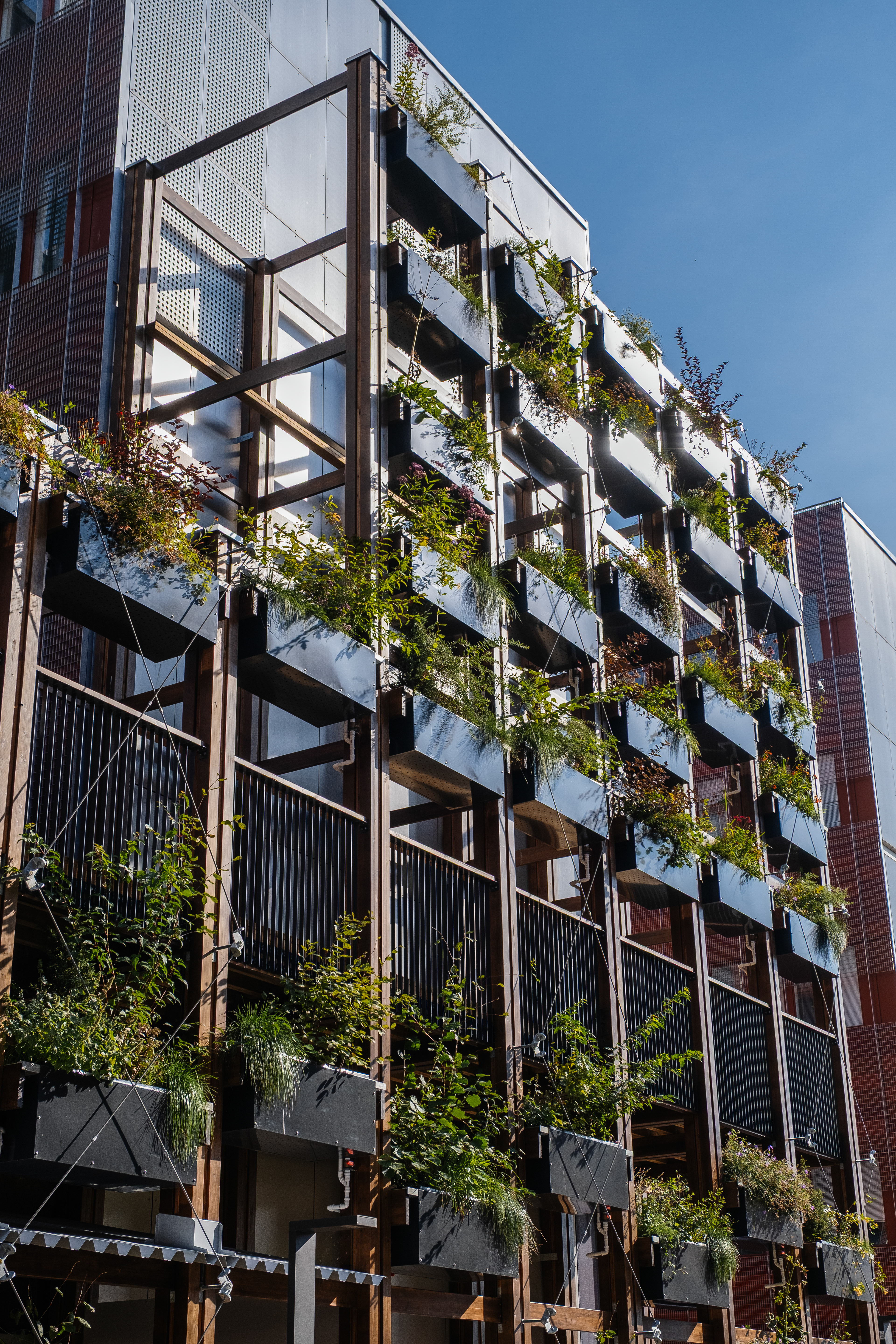 InnoGreen / Eva Lingon Ltd.