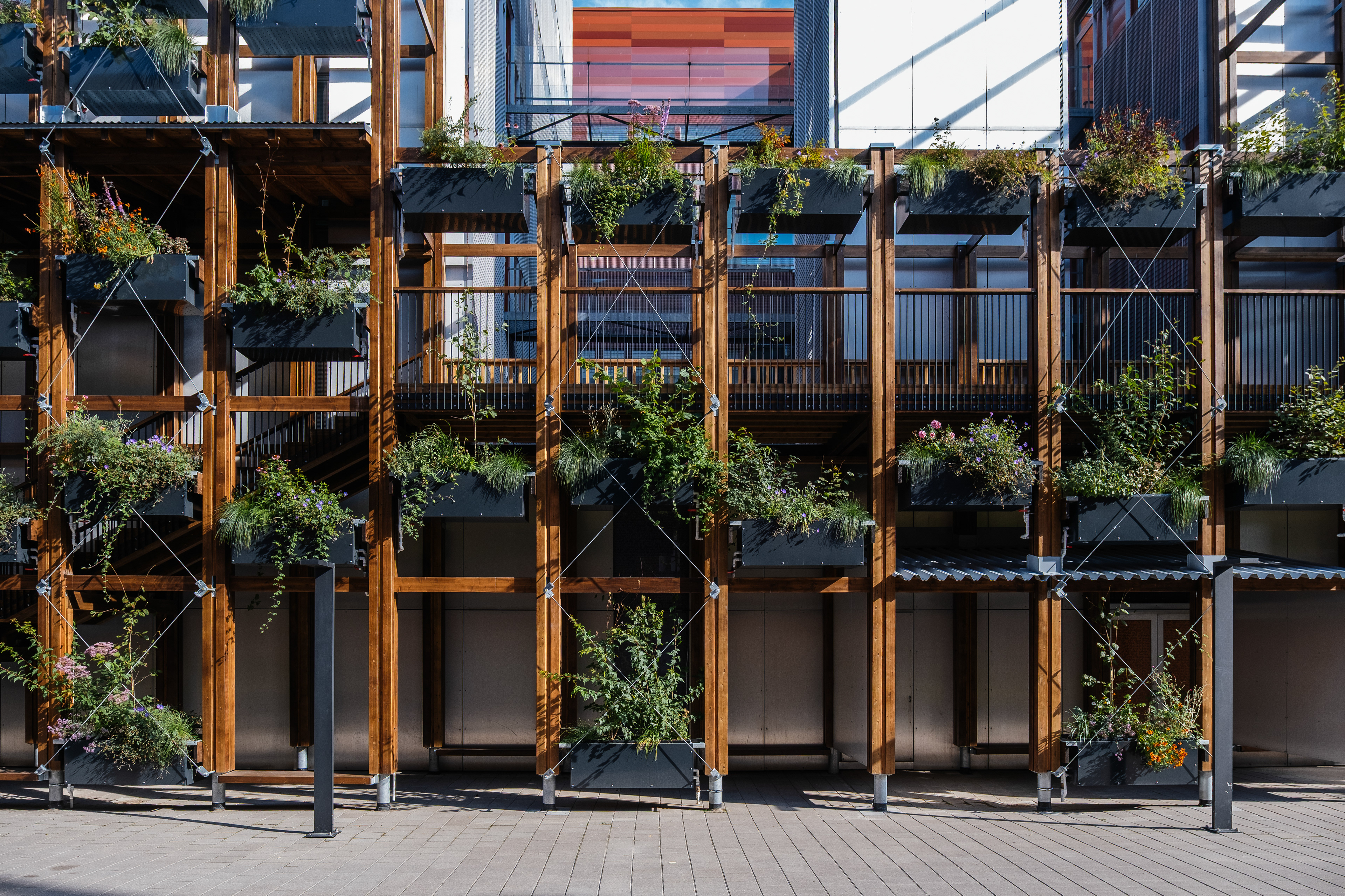 InnoGreen / Eva Lingon Ltd.