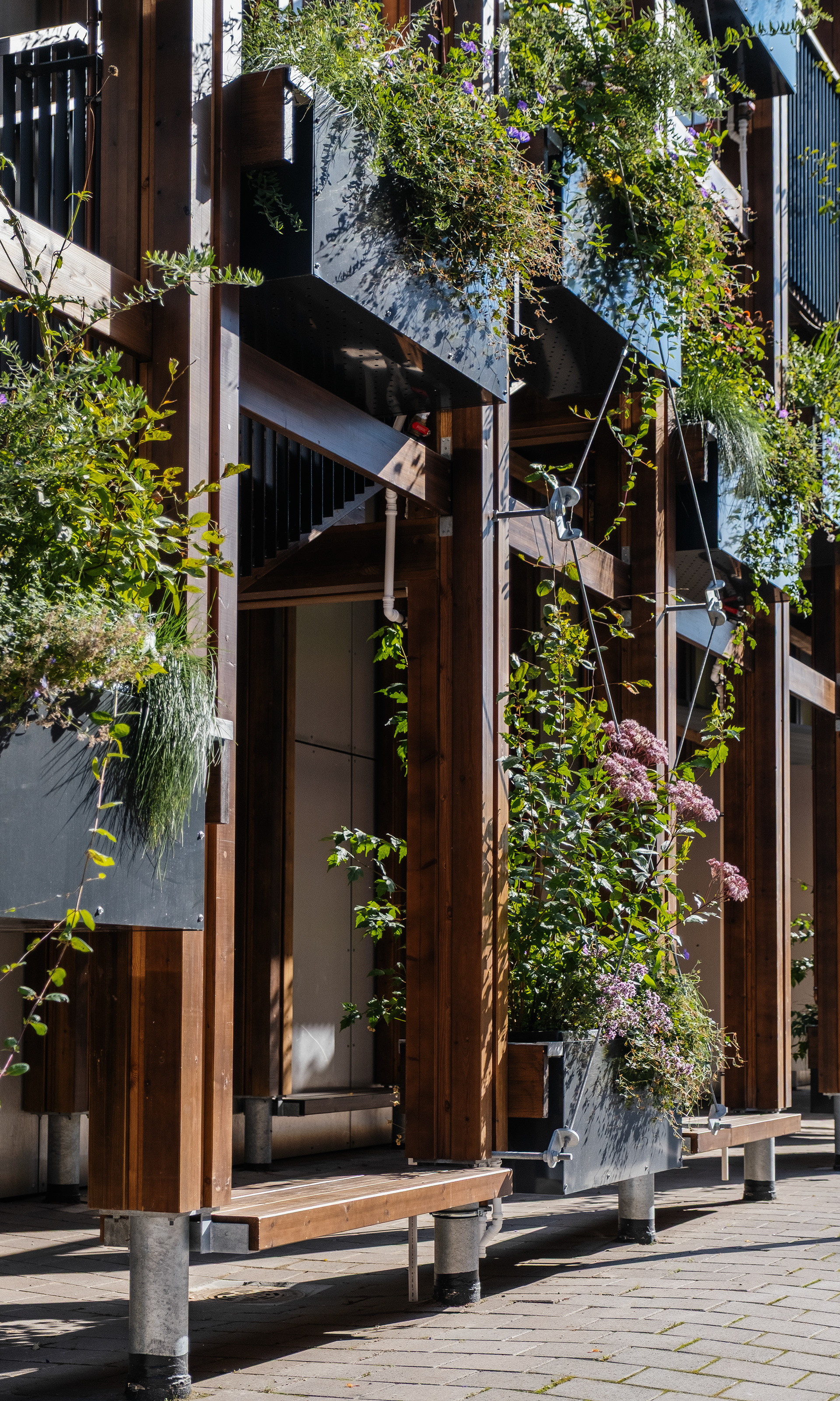 InnoGreen / Eva Lingon Ltd.