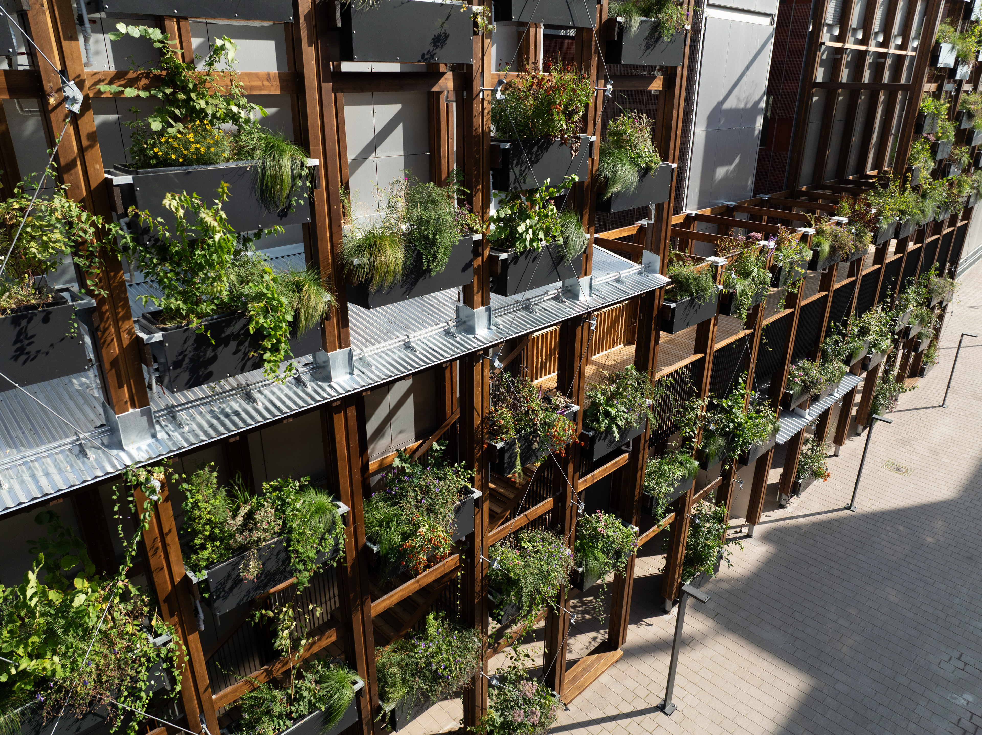 InnoGreen / Eva Lingon Ltd.